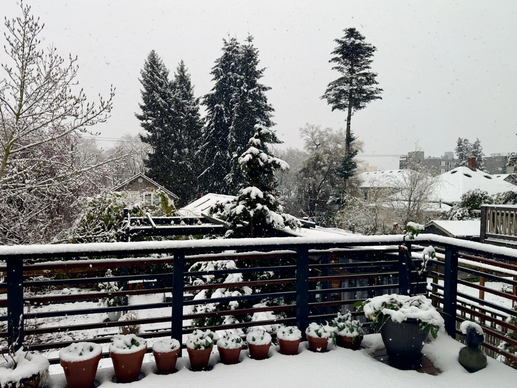 Mexico 2026 worker - 187 of 187.jpeg