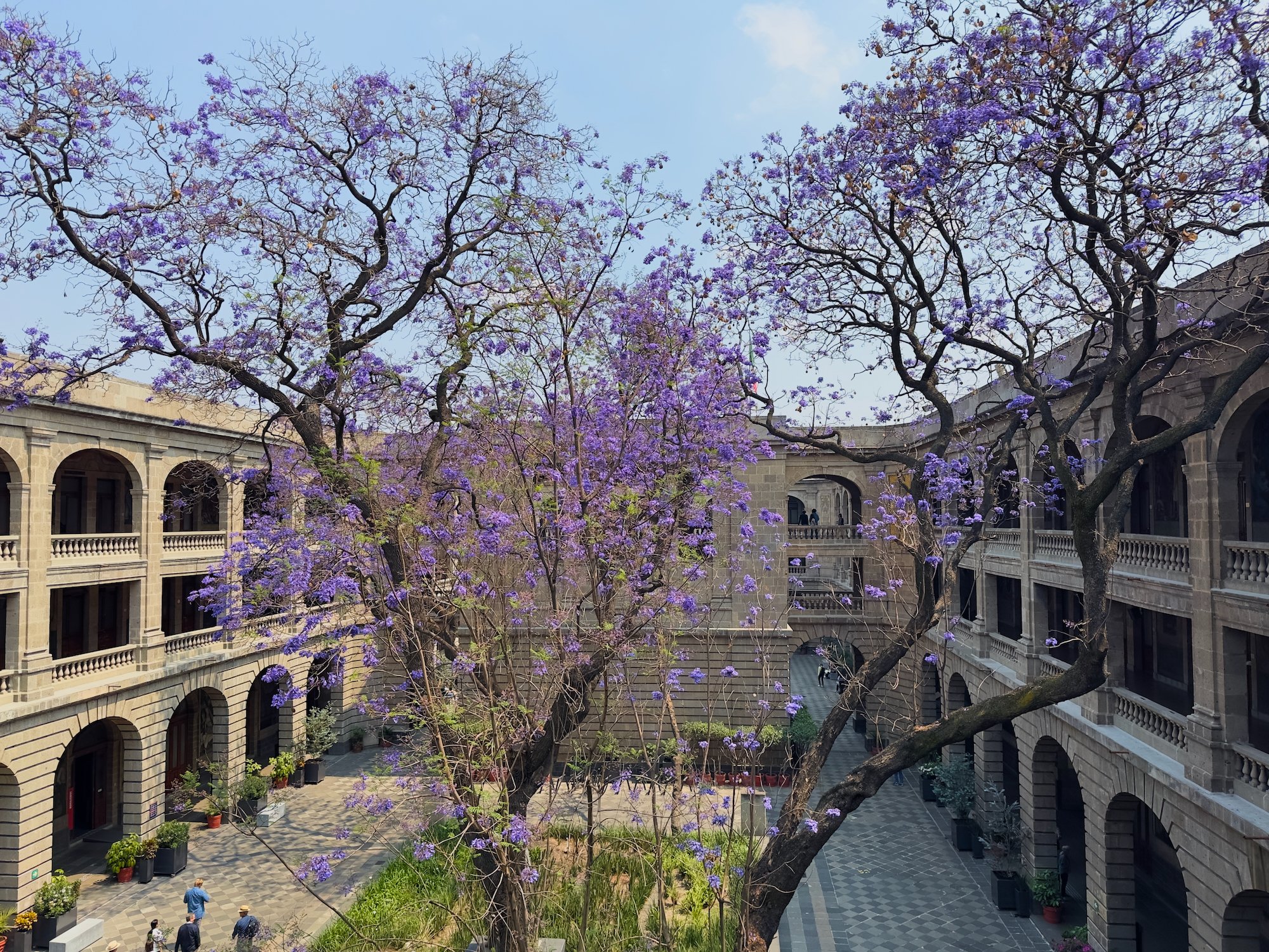 Mexico 2026 worker - 99 of 187.jpeg