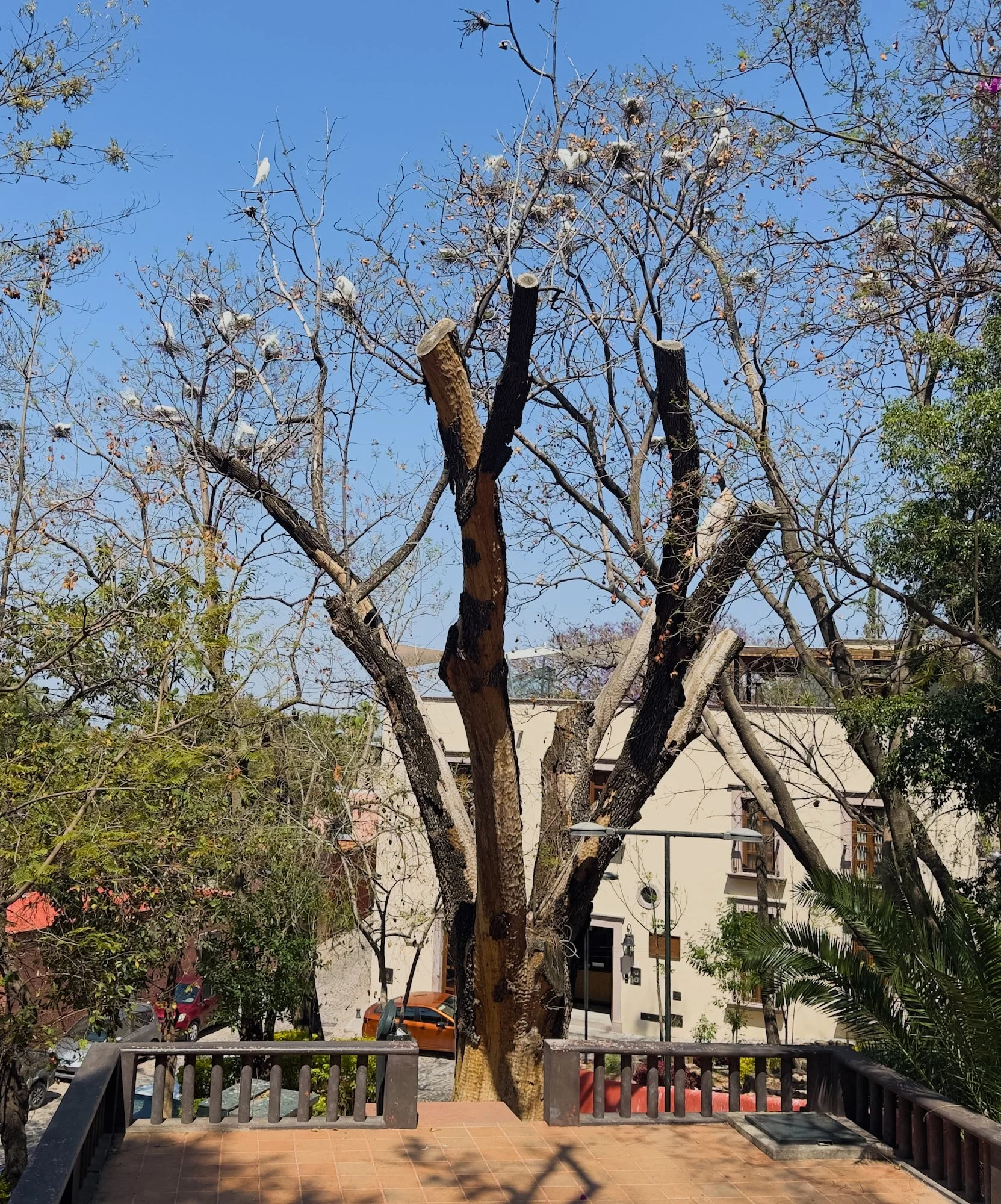 Mexico 2026 worker - 145 of 187.jpeg