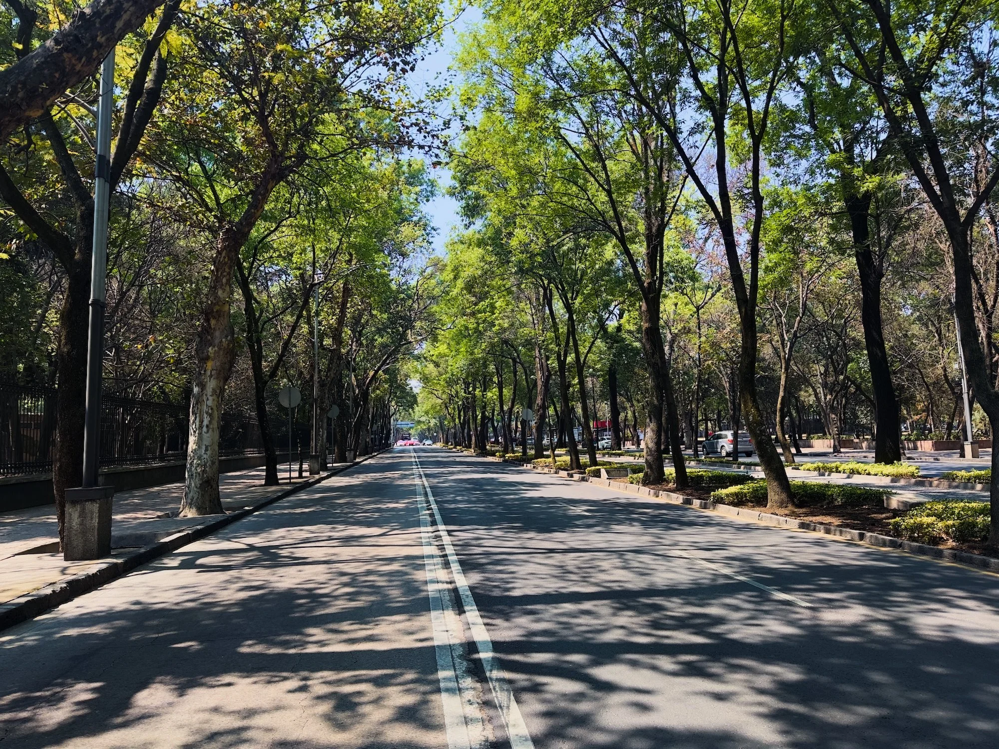 A boulevard inside the Chapultepec Park on the way to the National Museum of Anthropology. Normally there is a lot of traffic, but I caught it at a rare moment of quiet. 