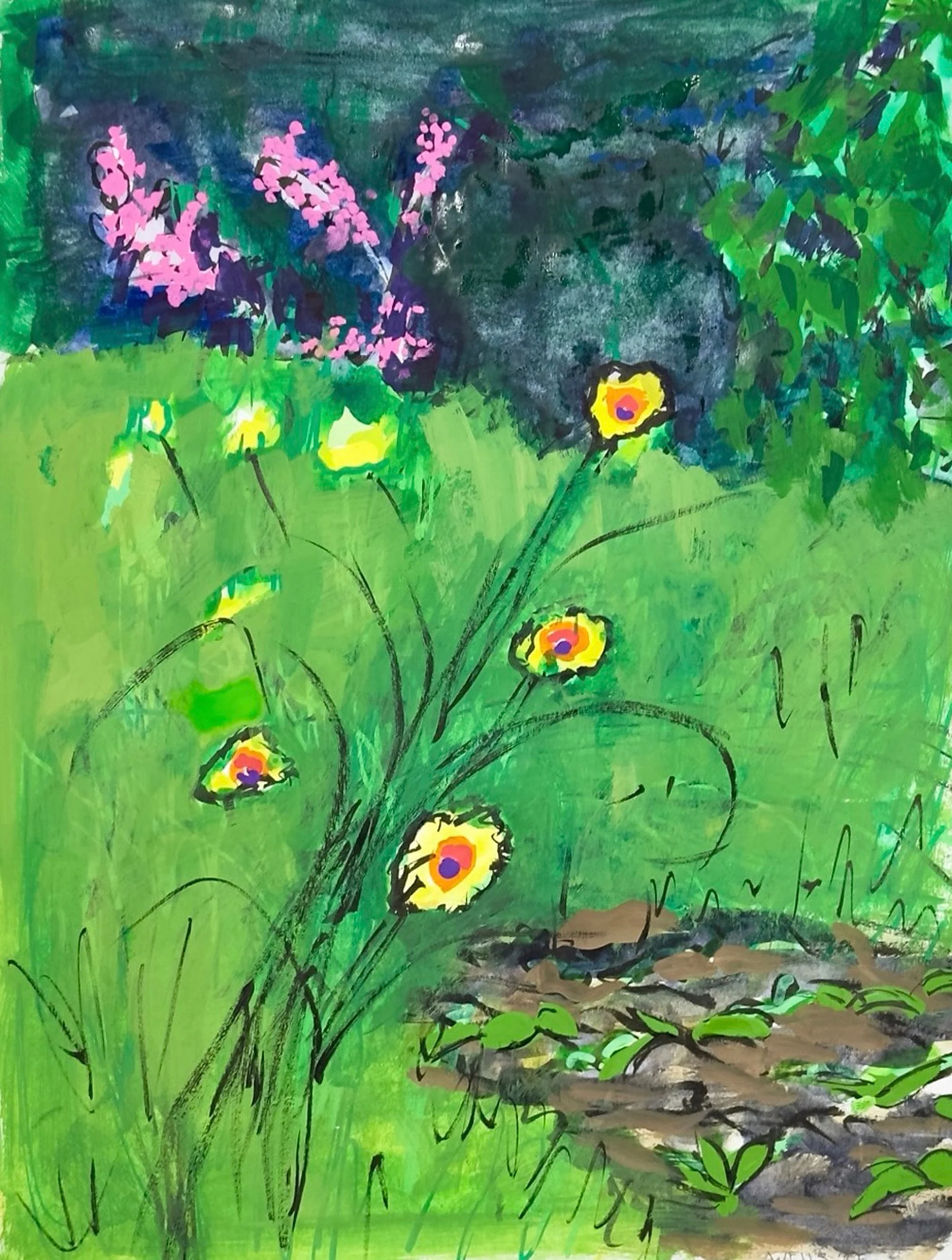Blanket Flower