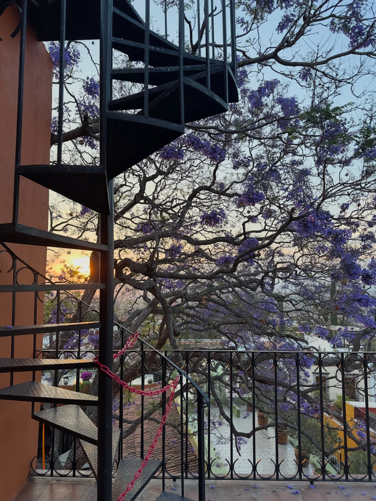 Mexico 2026 worker - 182 of 187.jpeg