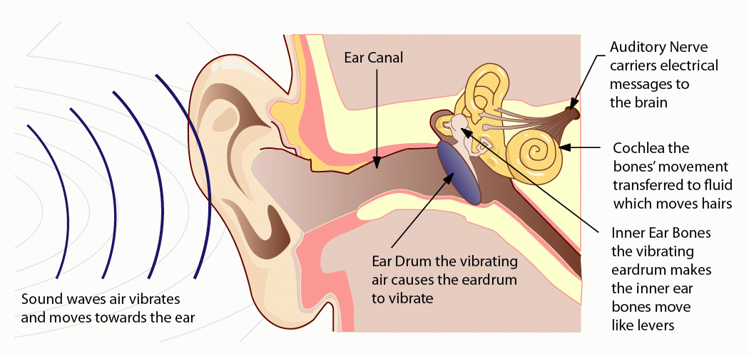 Hearing — TOLBECS EAR CLINIC