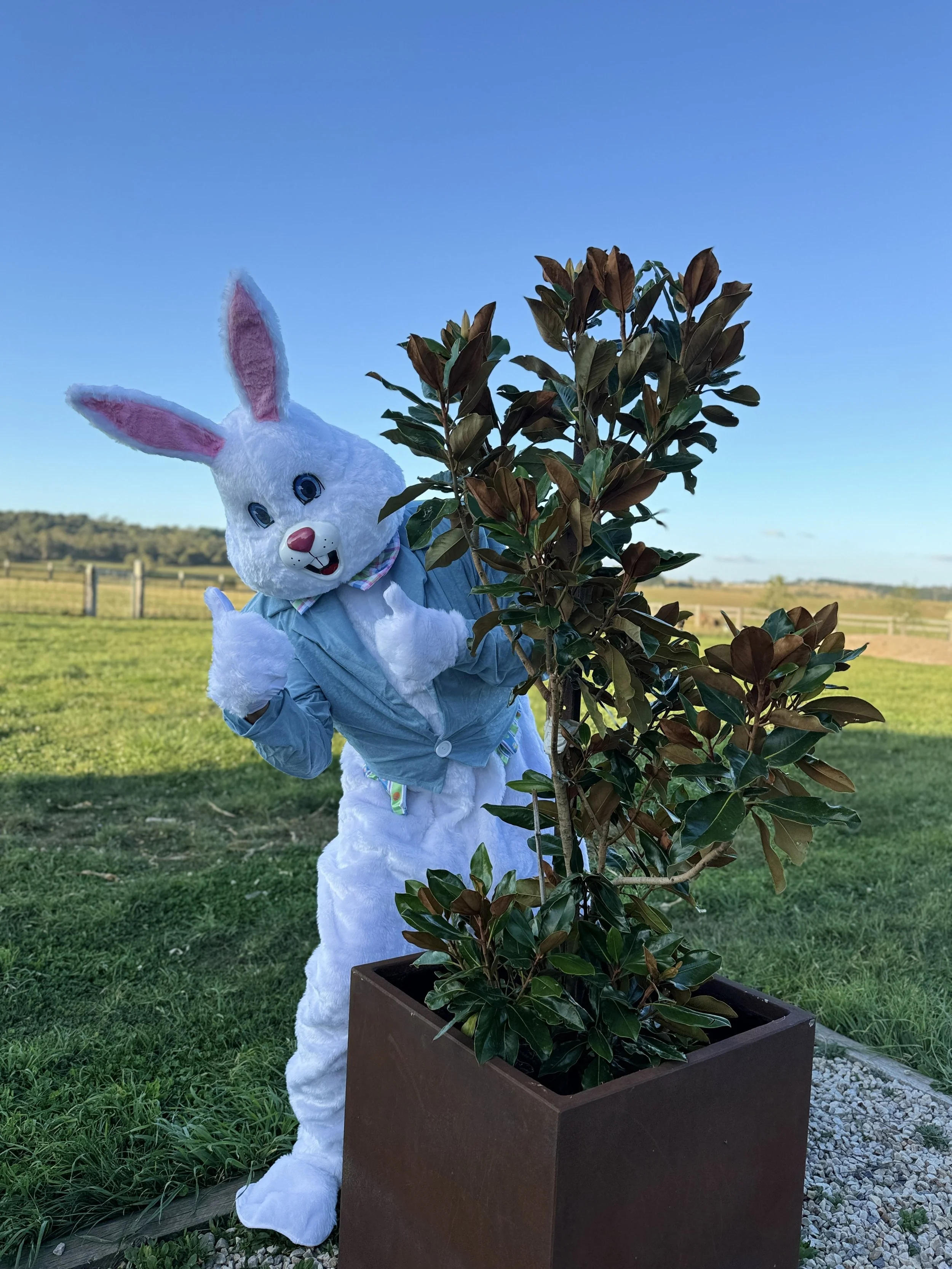 Easter Egg Hunt (full)