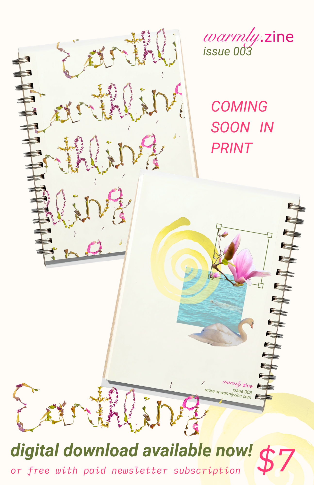 issue 3.0 (17).png