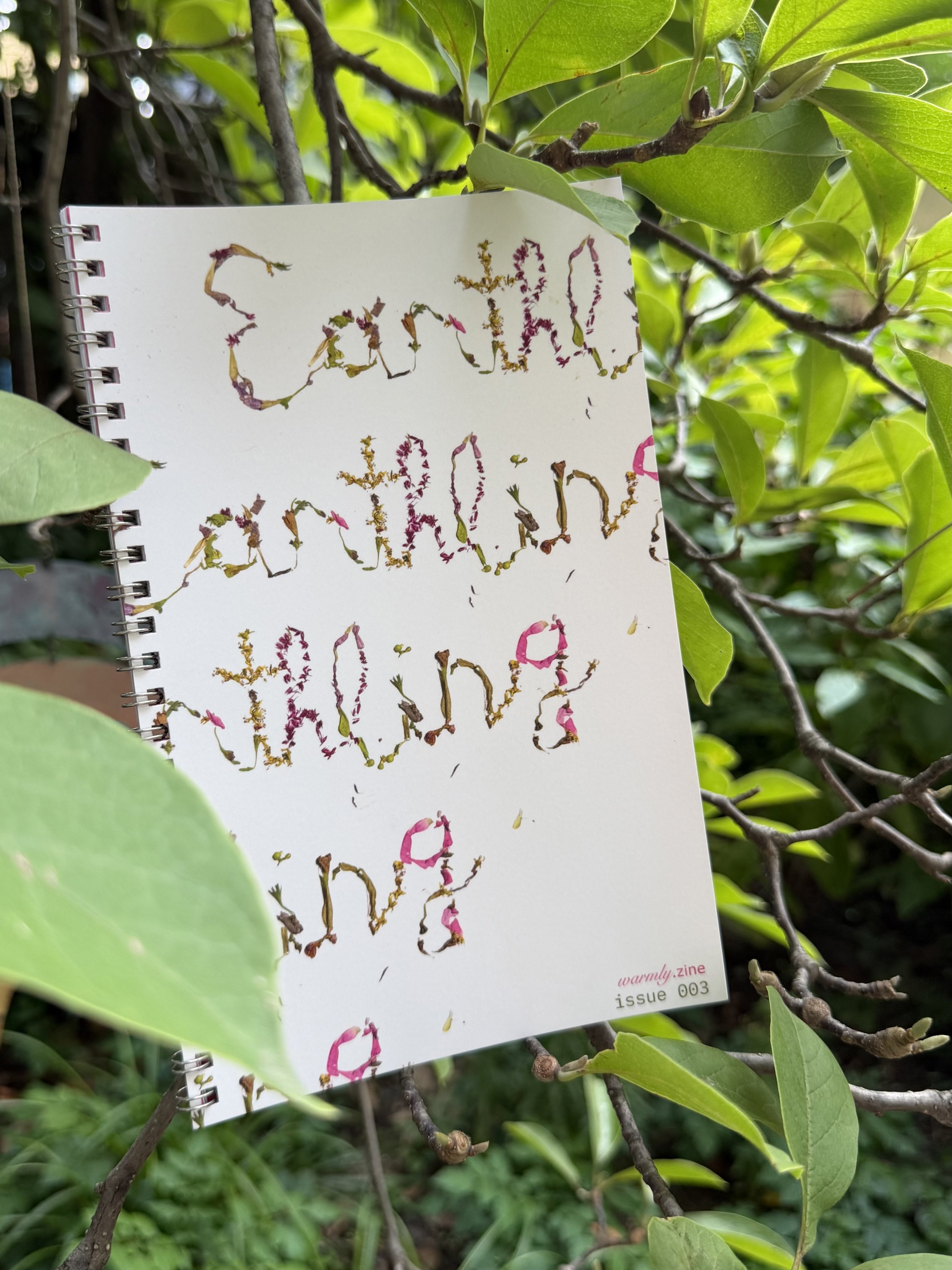 warmly zine issue 3 : Earthling
