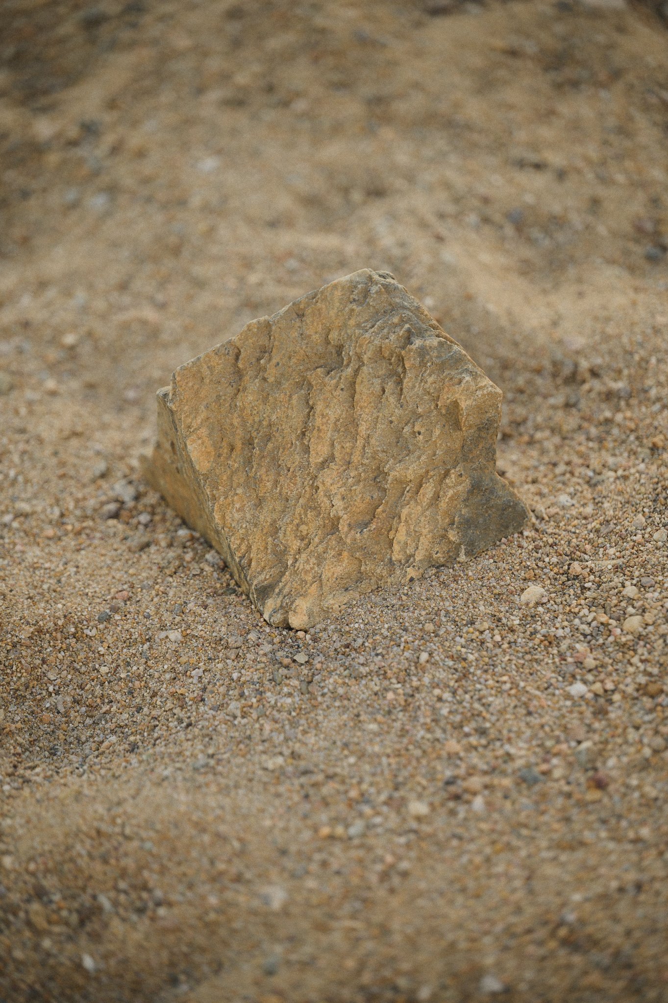 TD0117-4662.jpg