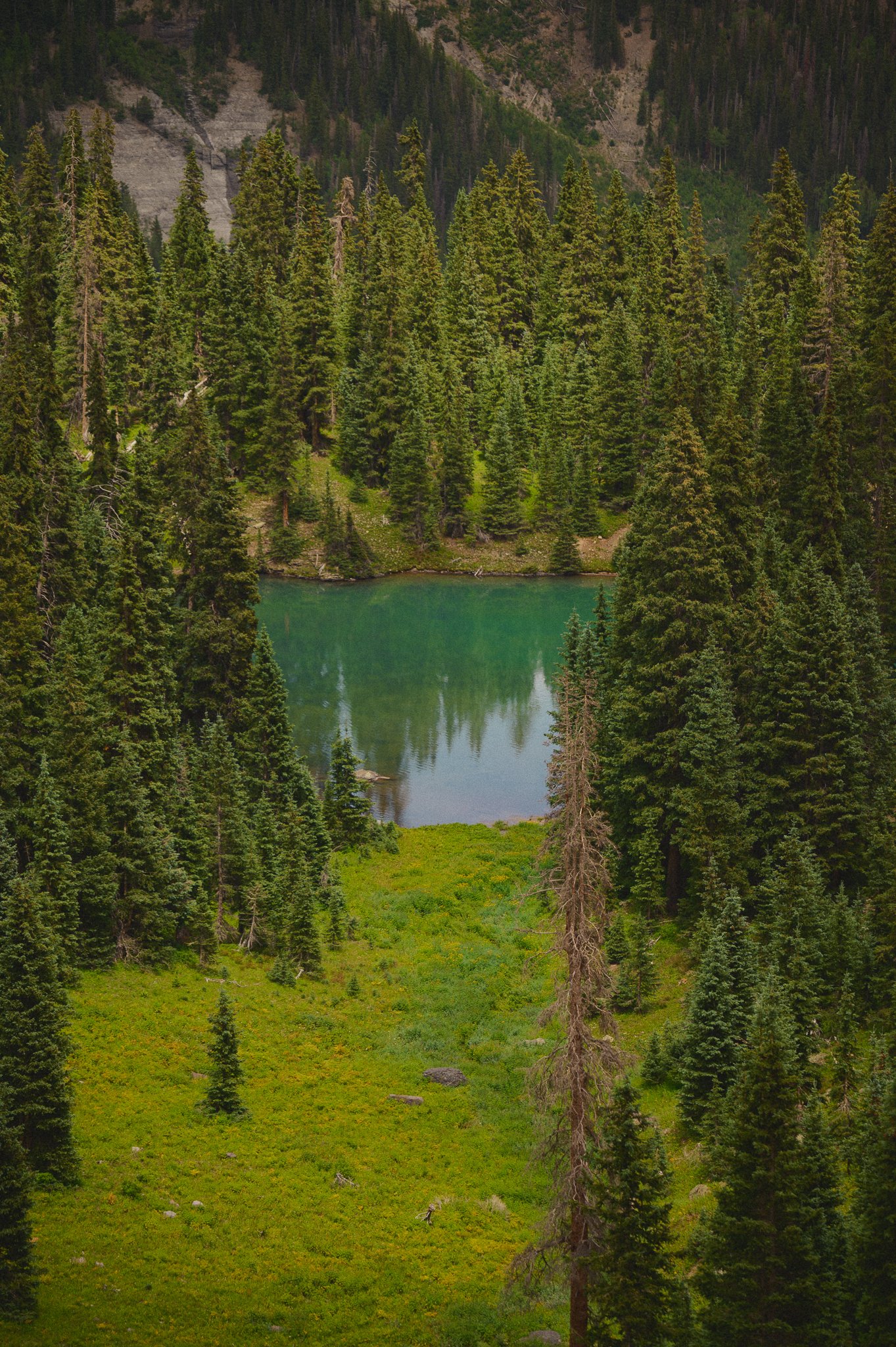 TD0076-2.jpg