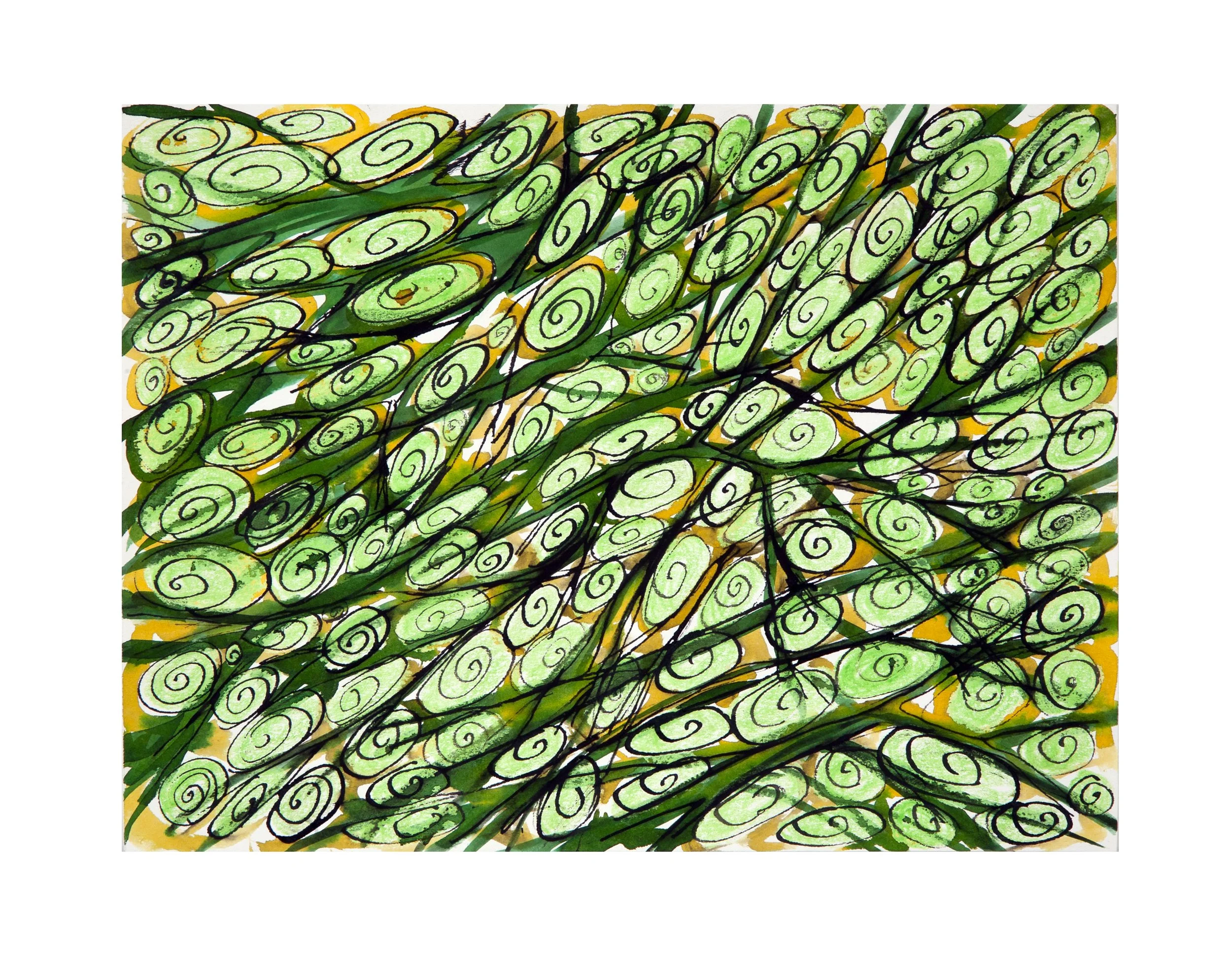 Seaweed 8.5 x 11