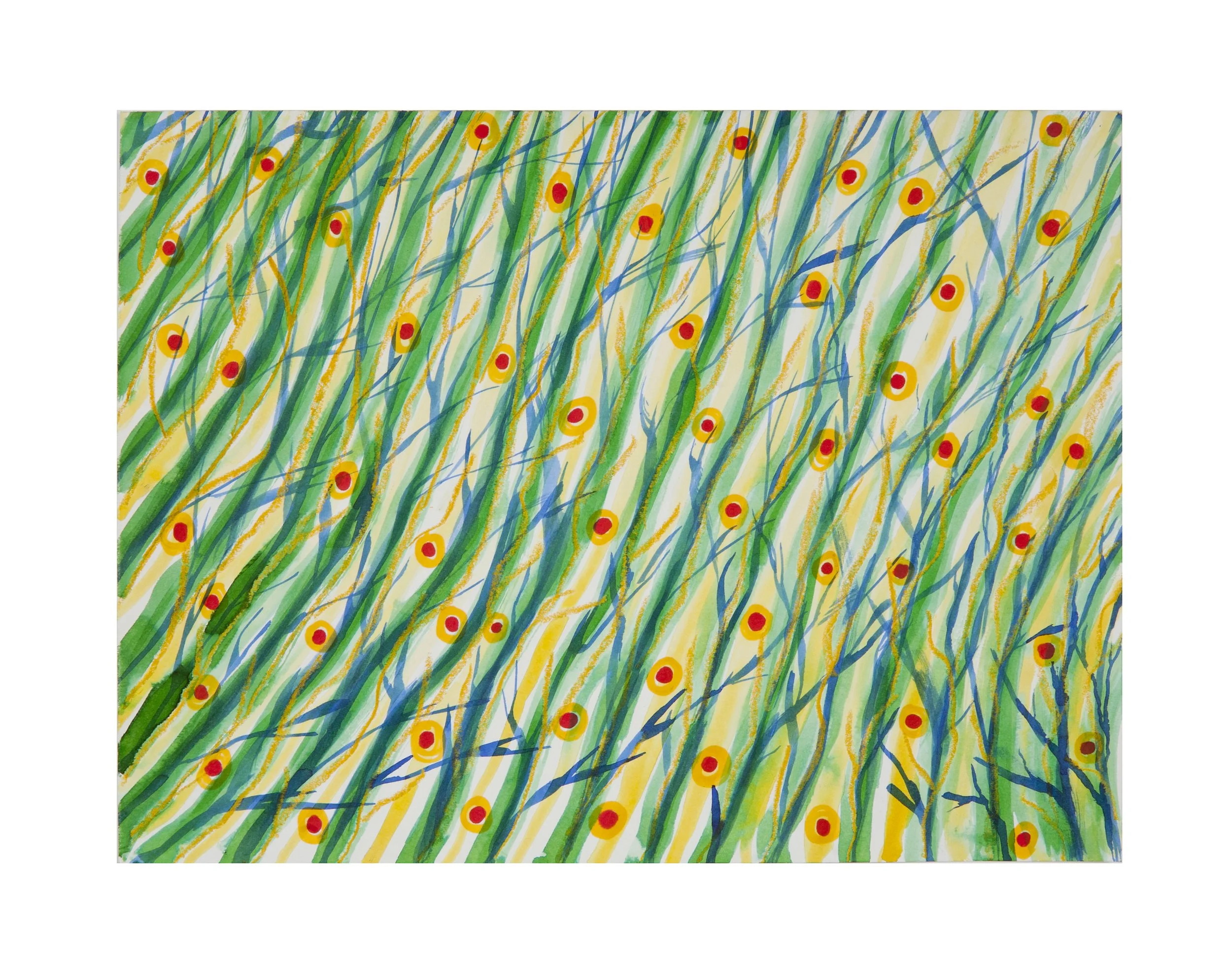 Fireflies 8.5 x 11