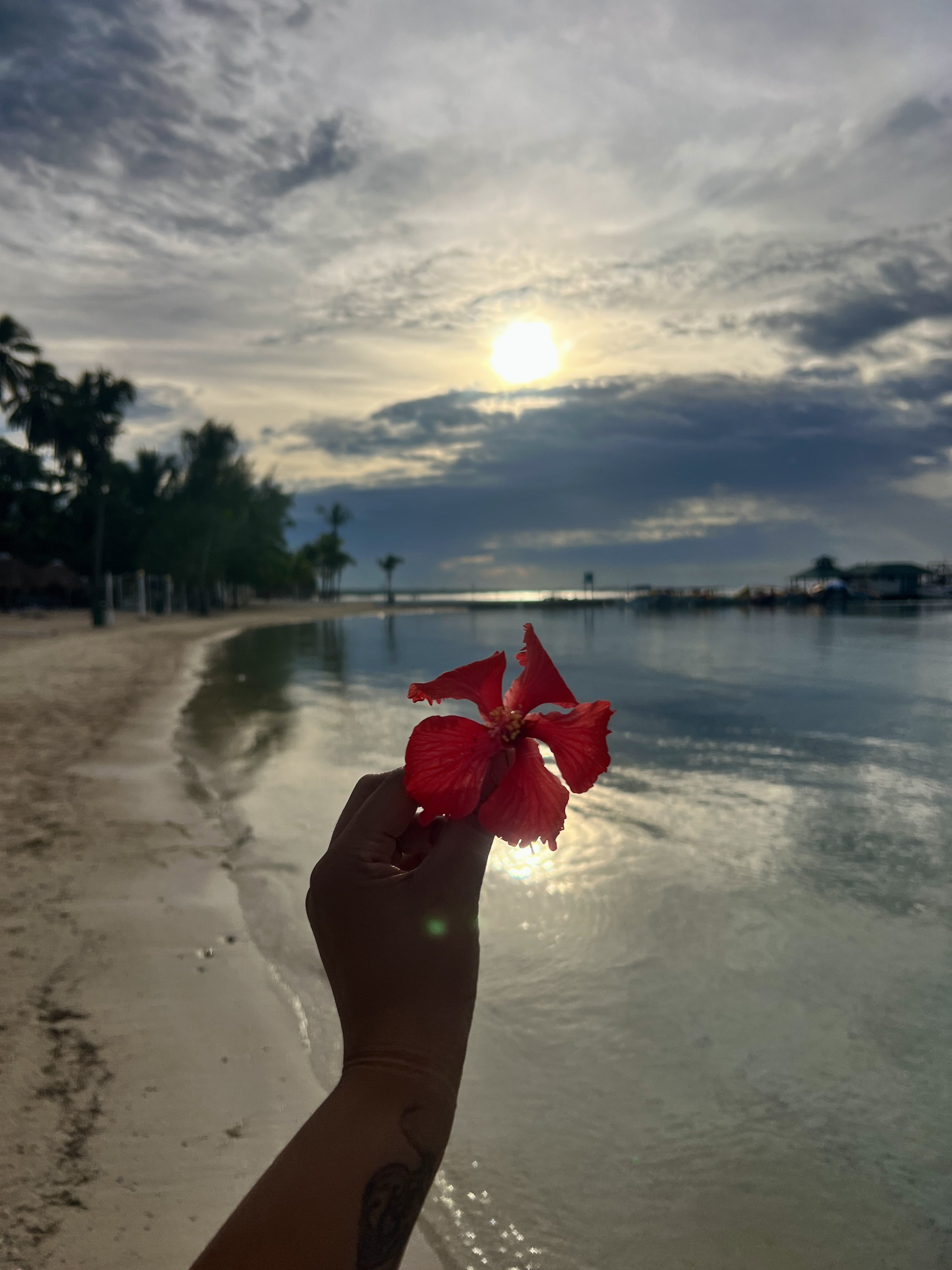 IMG_3998.jpeg