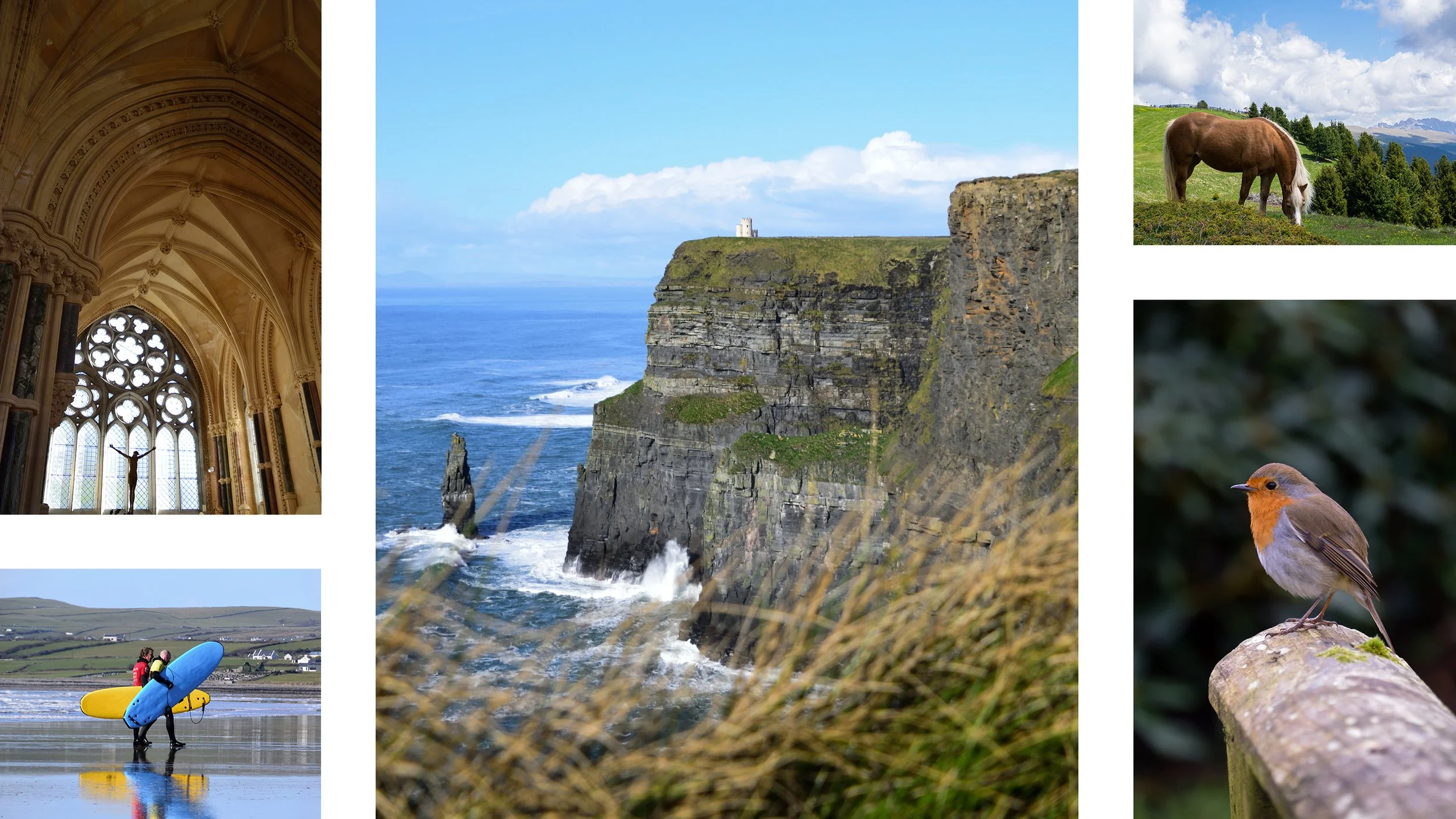 Photography_4.jpg
