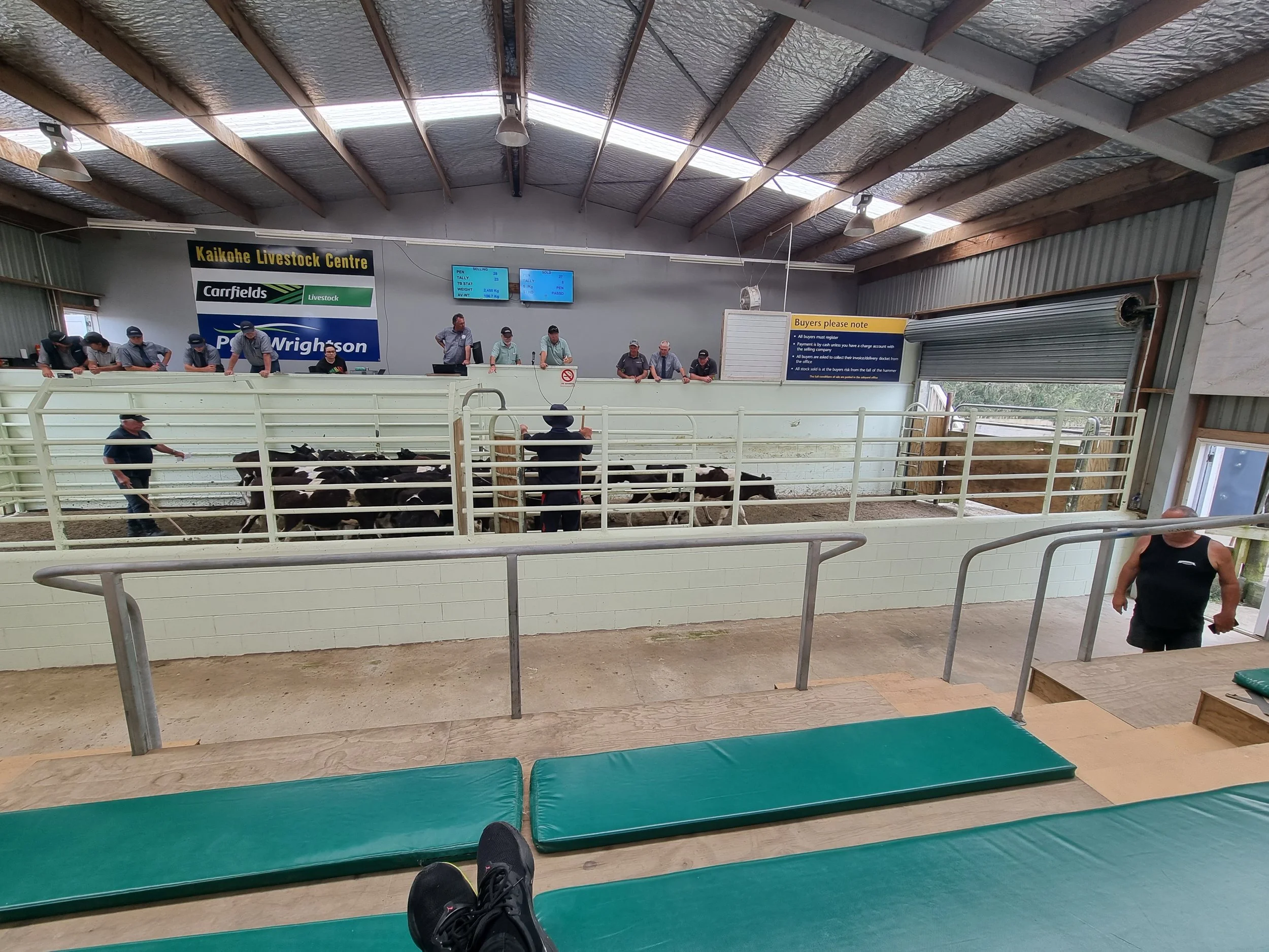Kaikohe Saleyard — National Saleyards