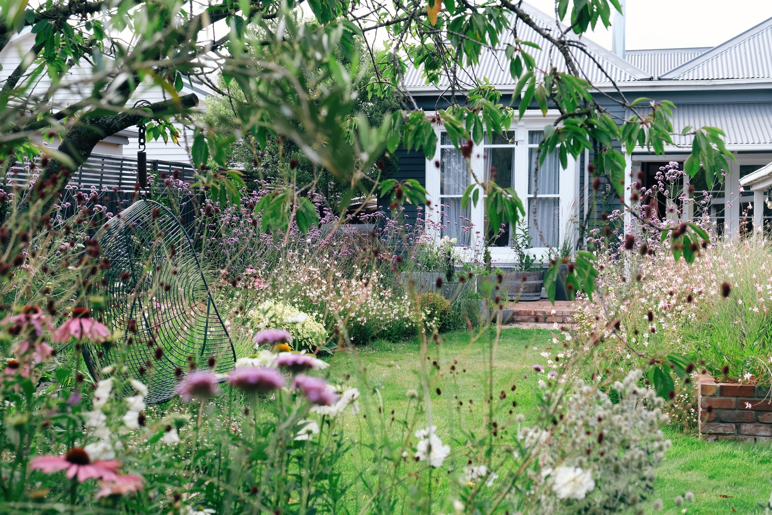 JULIA’S GARDEN - SUMMER 2023 UPDATE