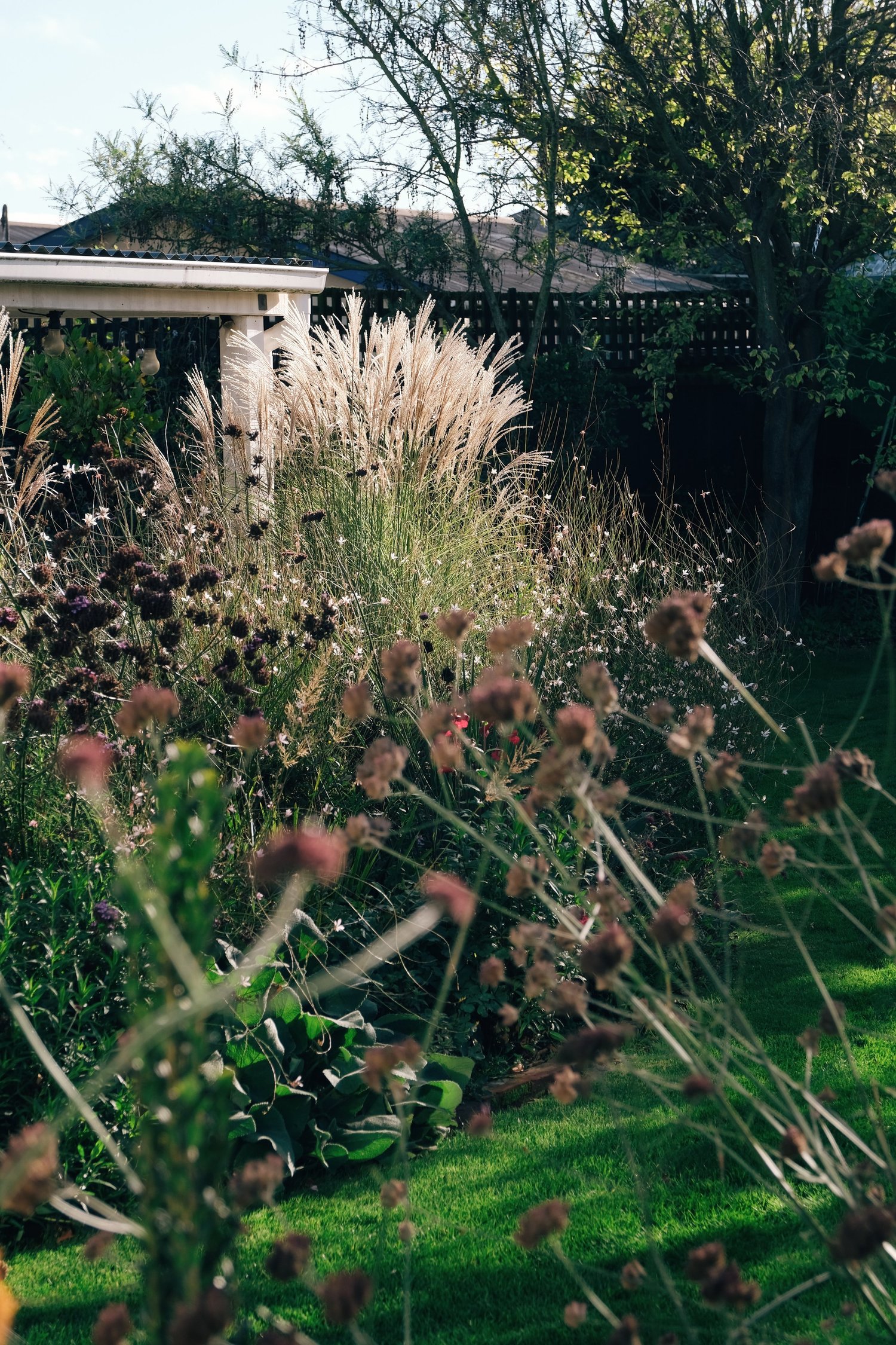 Miscanthus Unearthed