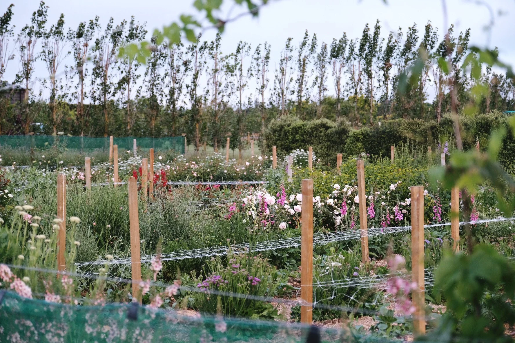 FLOWER FARMING IN THE DIGITAL AGE — Unearthed.