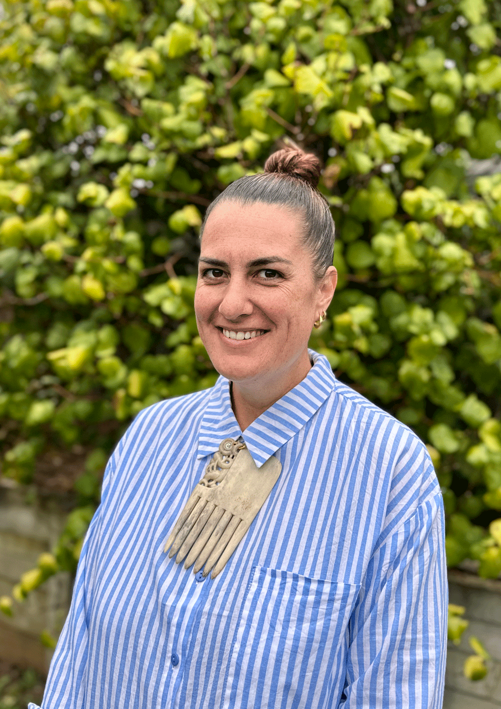 ihumaatao, ihumatao, protect ihumatao, SOUL, guided tours, maori history, auckland history, mangere history, tour guides, maori guide, te ihu o mataoho
