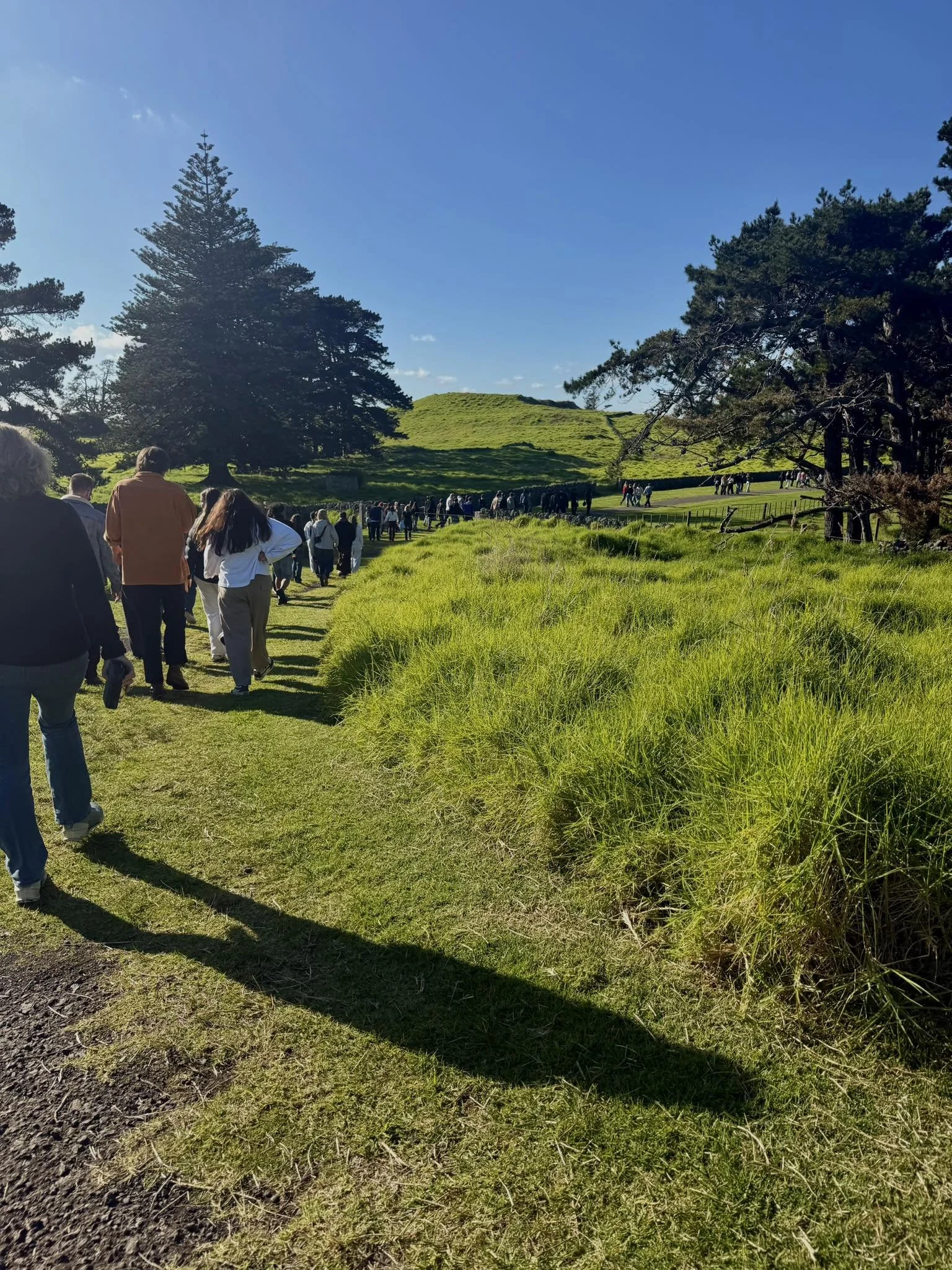 ihumatao, ihumaatao, ihumātao, guided walk, guided hiikoi