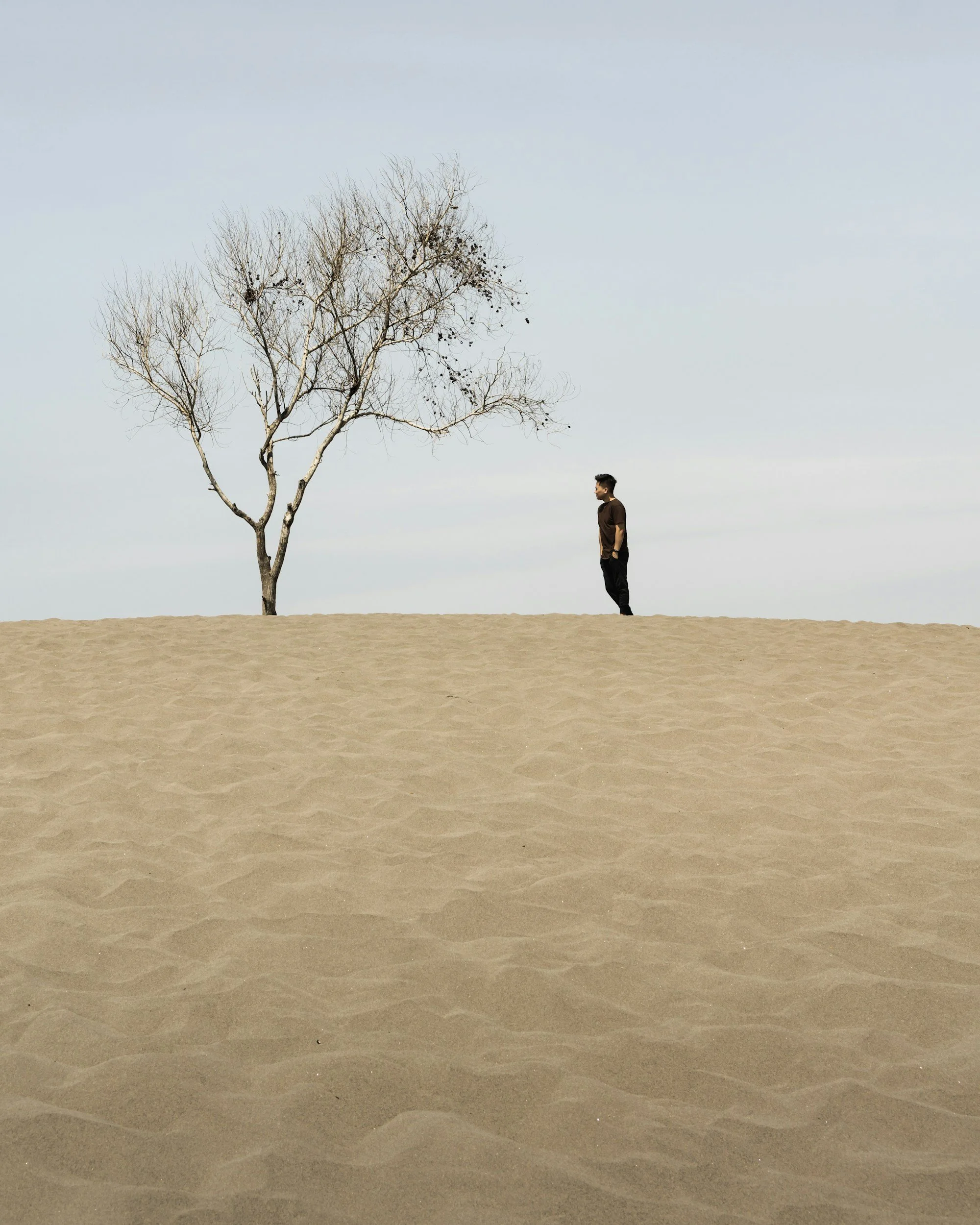 Tree and person in sand dune