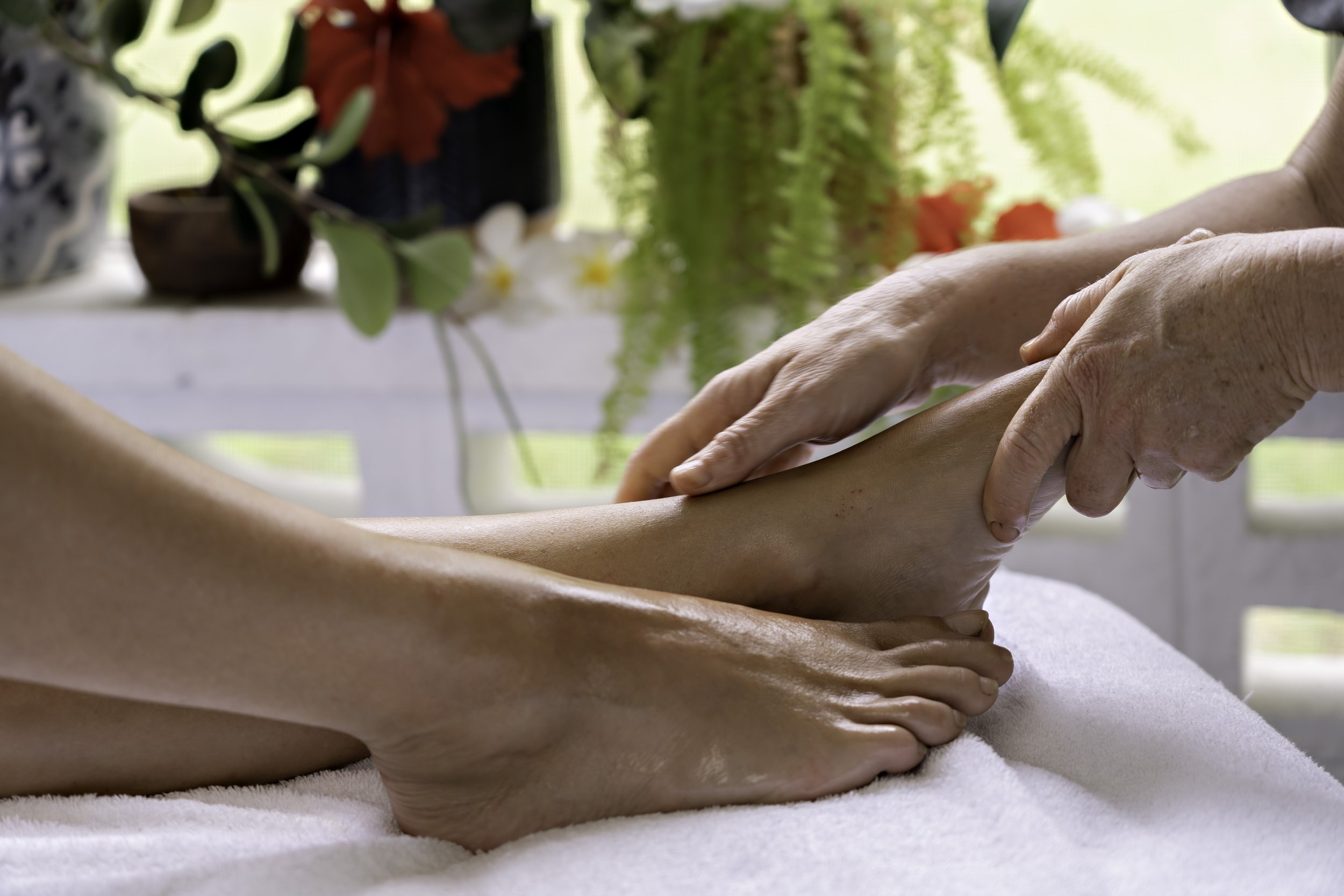 Rainforest foot renewal treatment