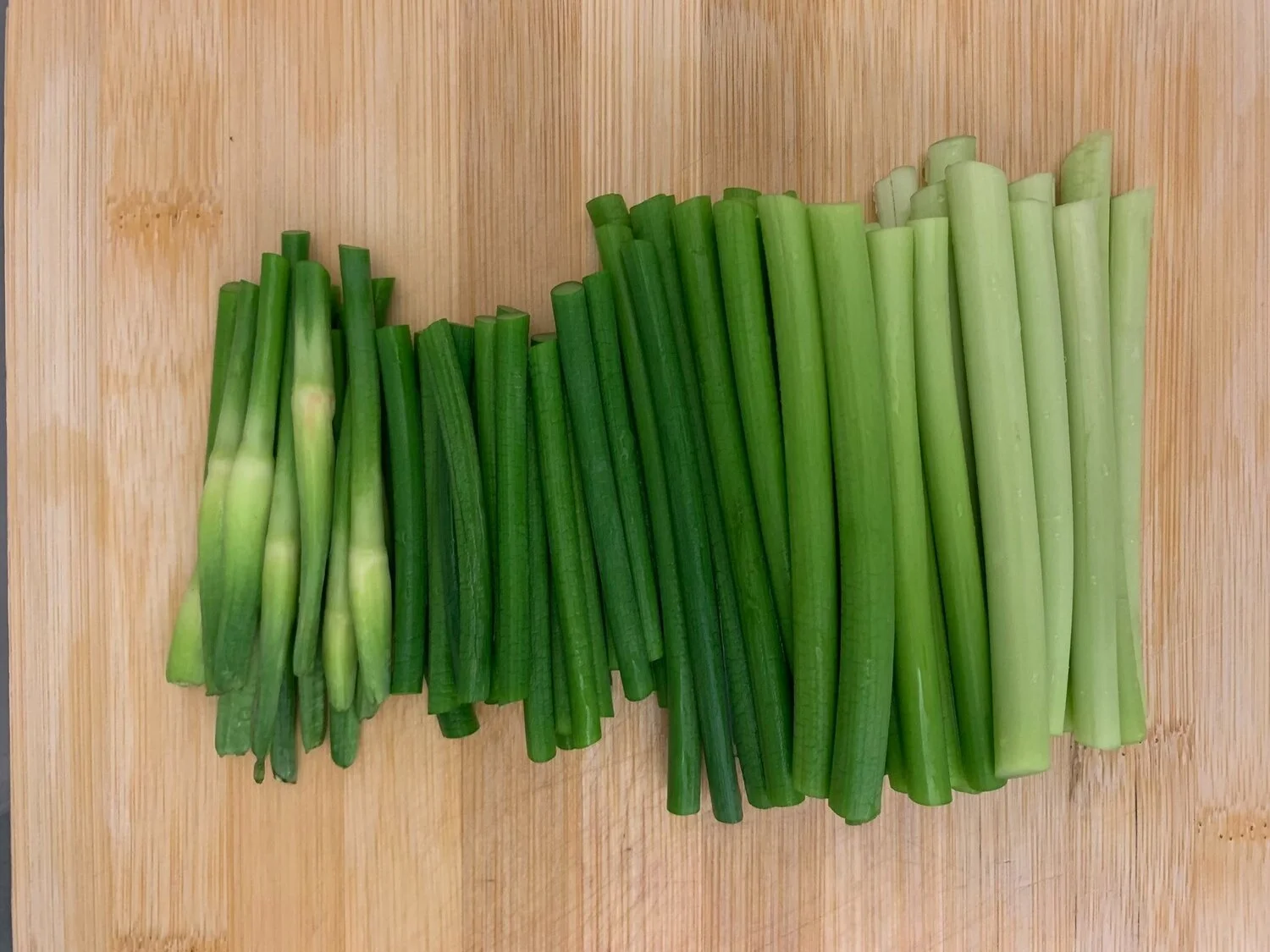 The invisible flow of harmony in every city