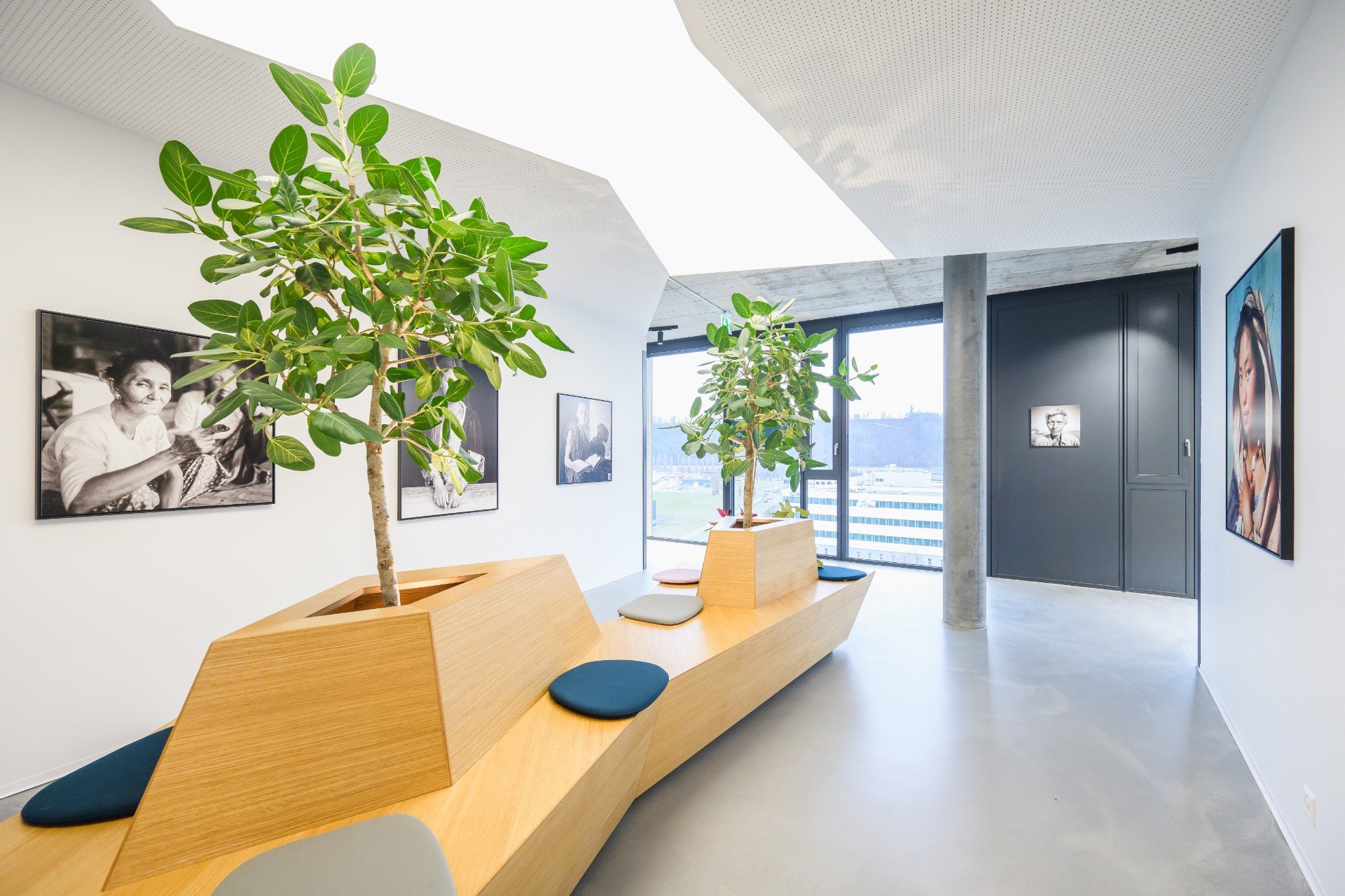 Salle d'attente avec des photographies artistiques accrochées aux murs