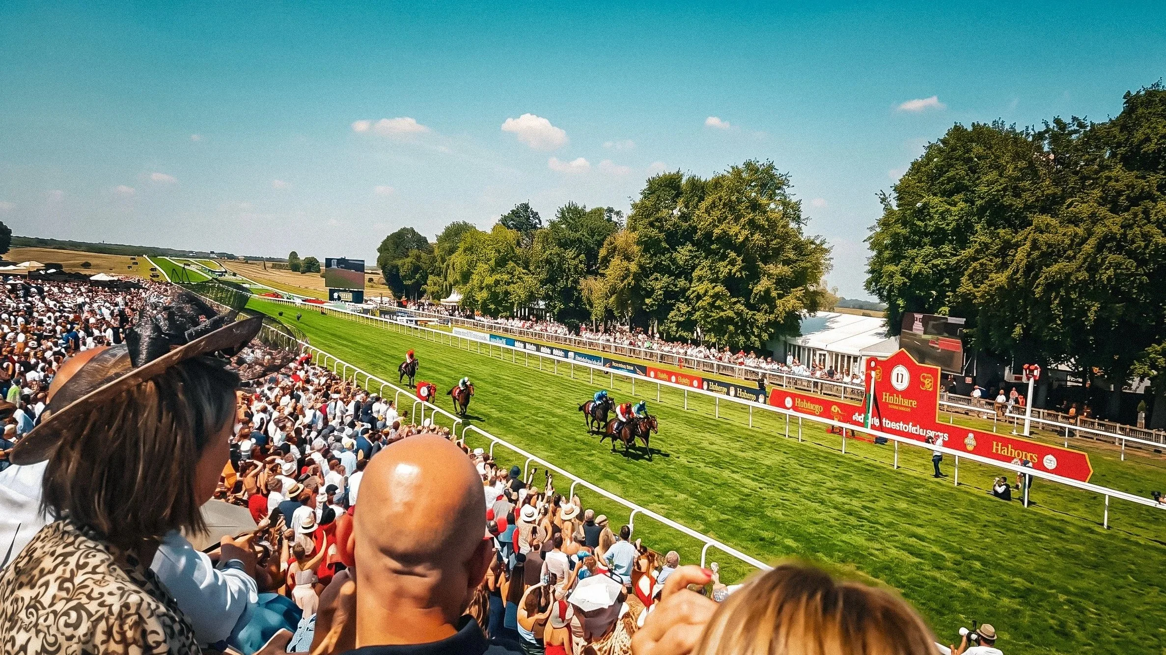 Newmarket 2026