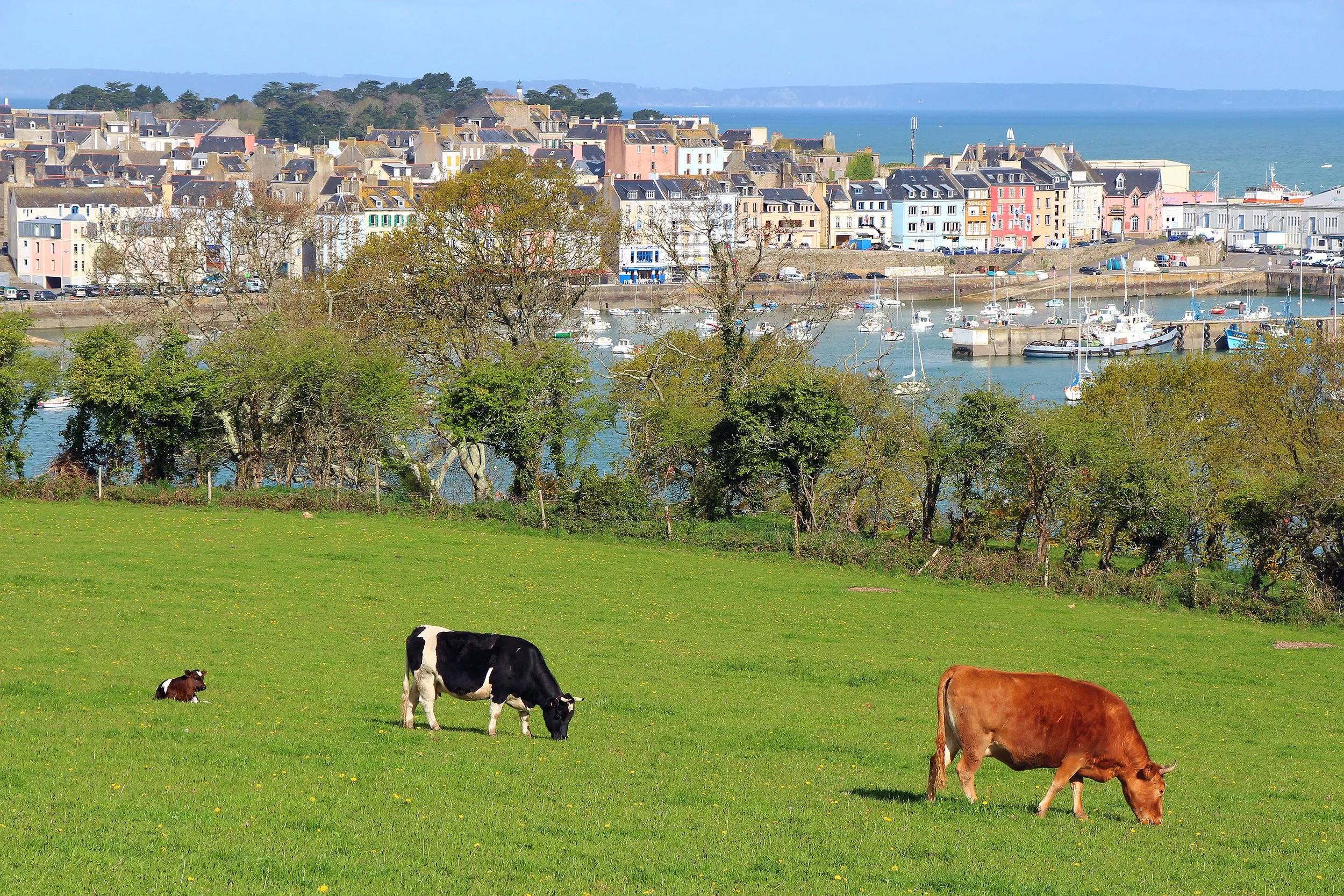 Port de Douarnenez "le Rosmeur" vue des Plomarc'h