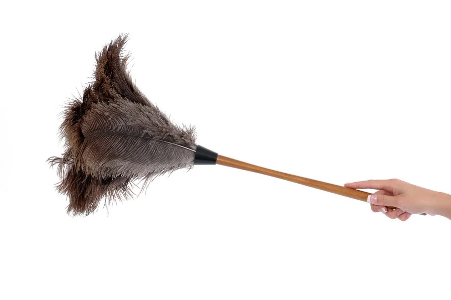 Dusting.jpg