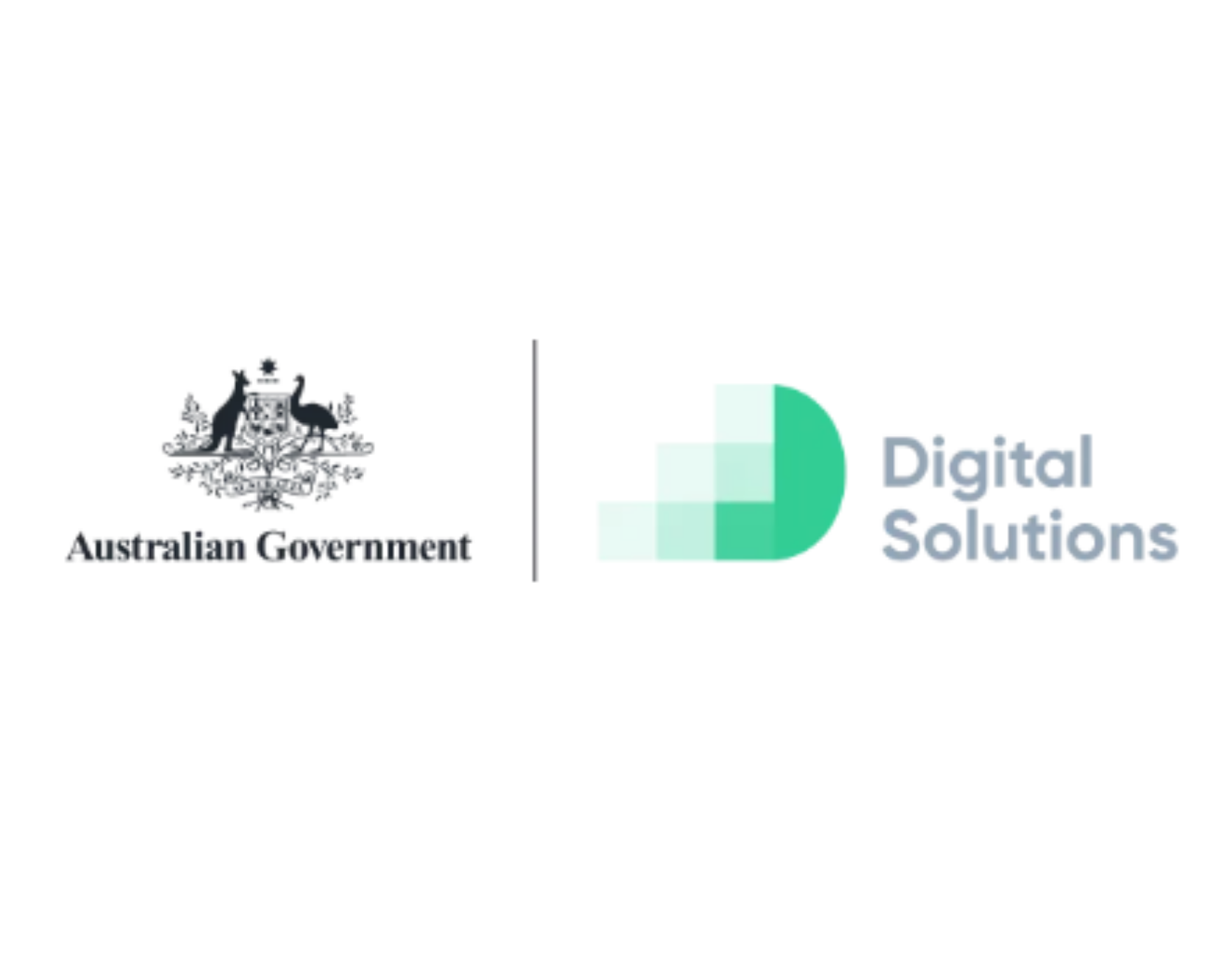 Digital Solutions program offering low-cost 1-1 Advice, subsidised by ...