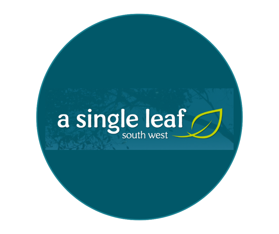 A Single Leaf South West