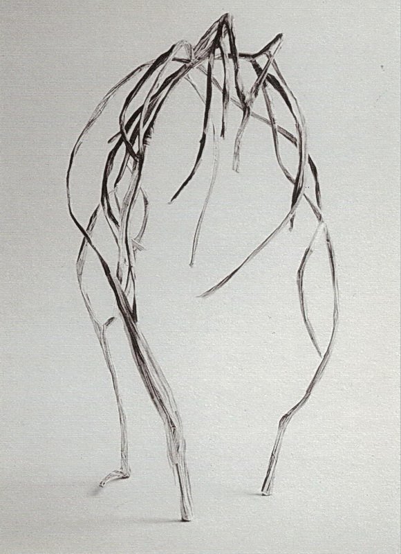 Katrien Vogel