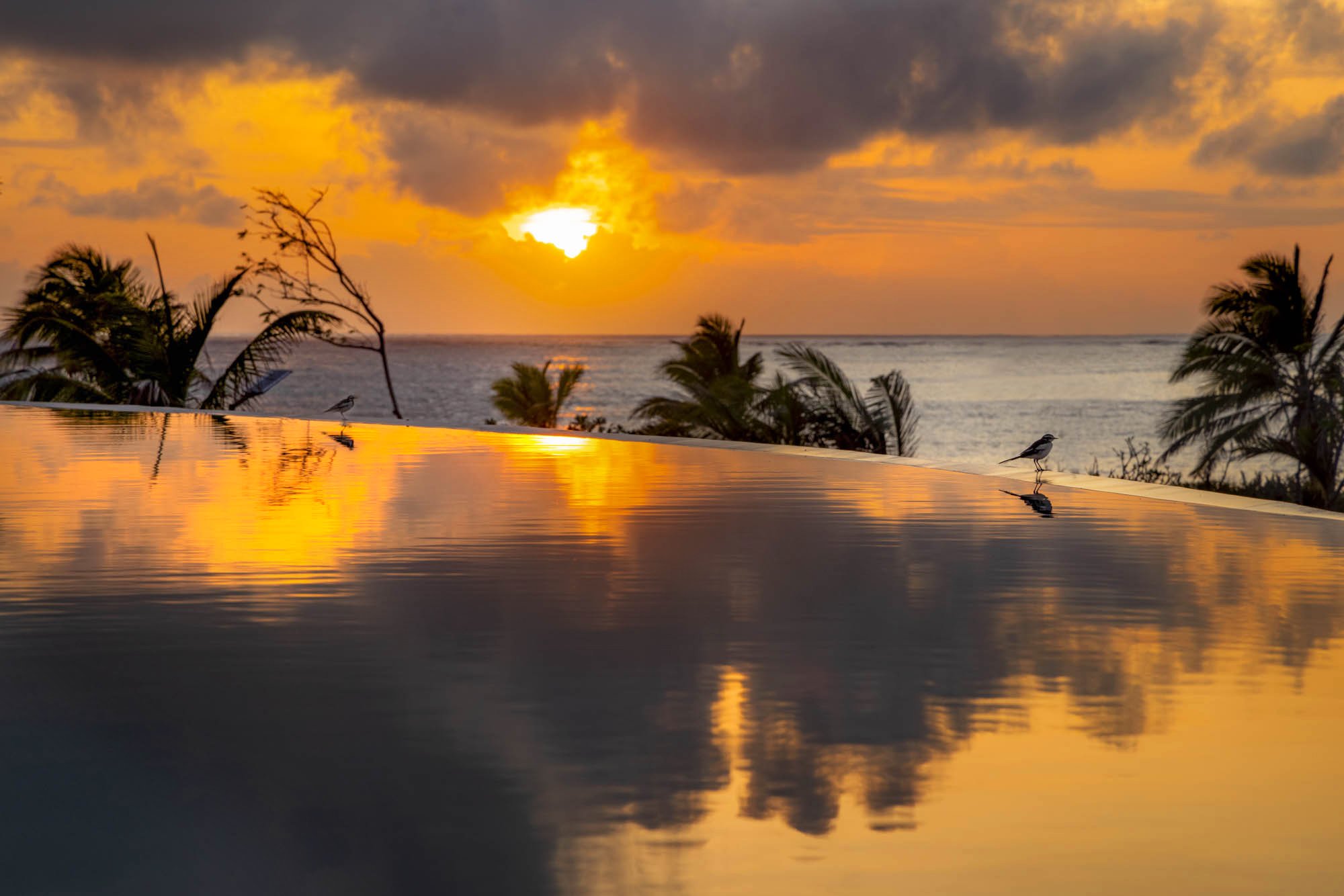 beachpalace_sunrise_H6A8613_photo_Rosalia_Filippetti.jpg