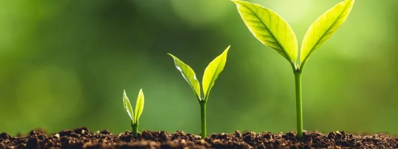 Green shoots emerging as real estate eyes recovery