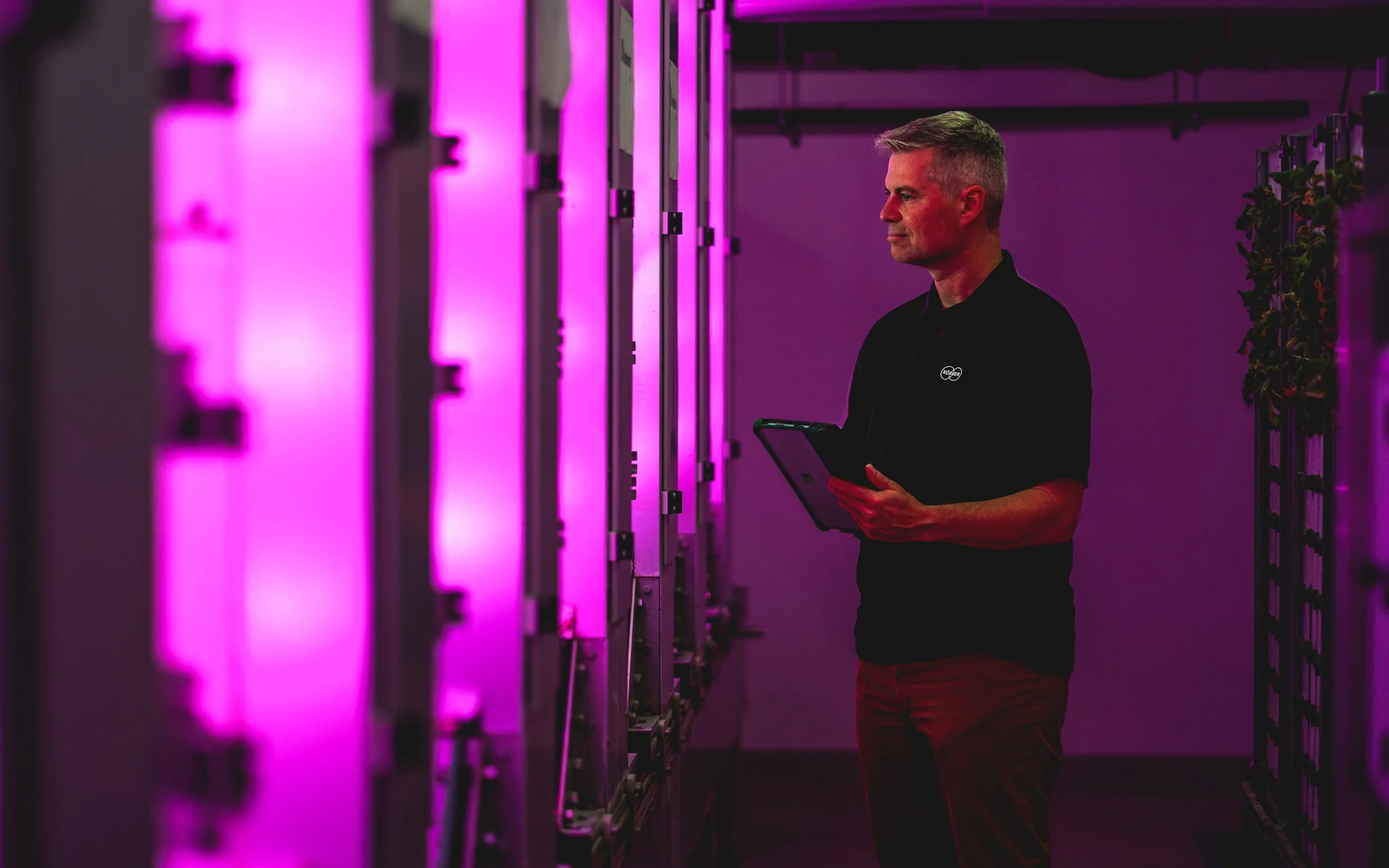 KÖRBER | VERTICAL FARM