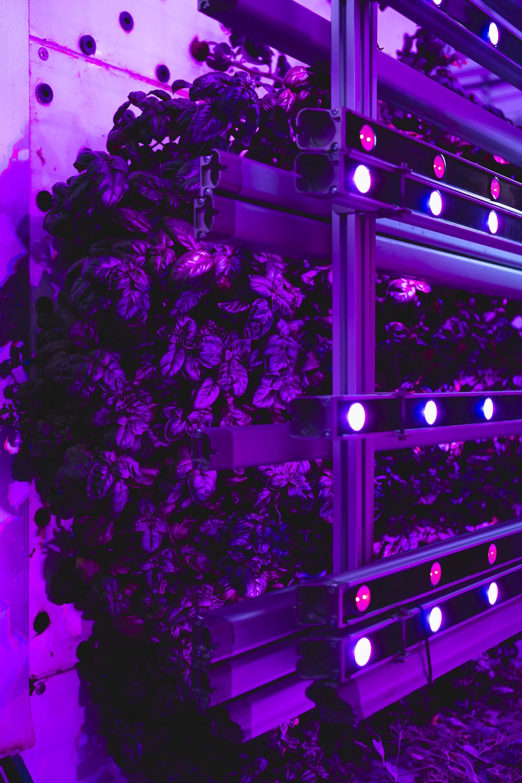 HALBSCHARF FOTOGRAFIE_Björn Richardt_Unternehmensfotografie_Körber-7.jpg