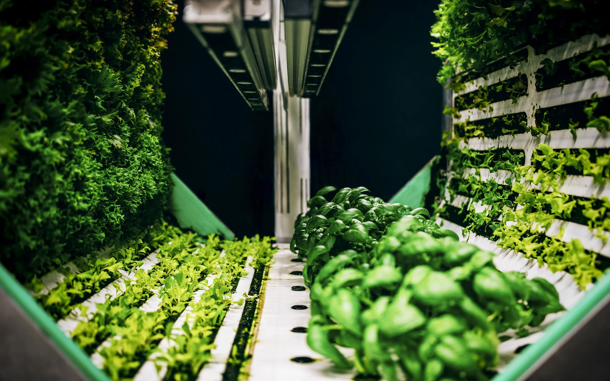 HALBSCHARF FOTOGRAFIE_Björn Richardt_Unternehmensfotografie_Körber-12.jpg