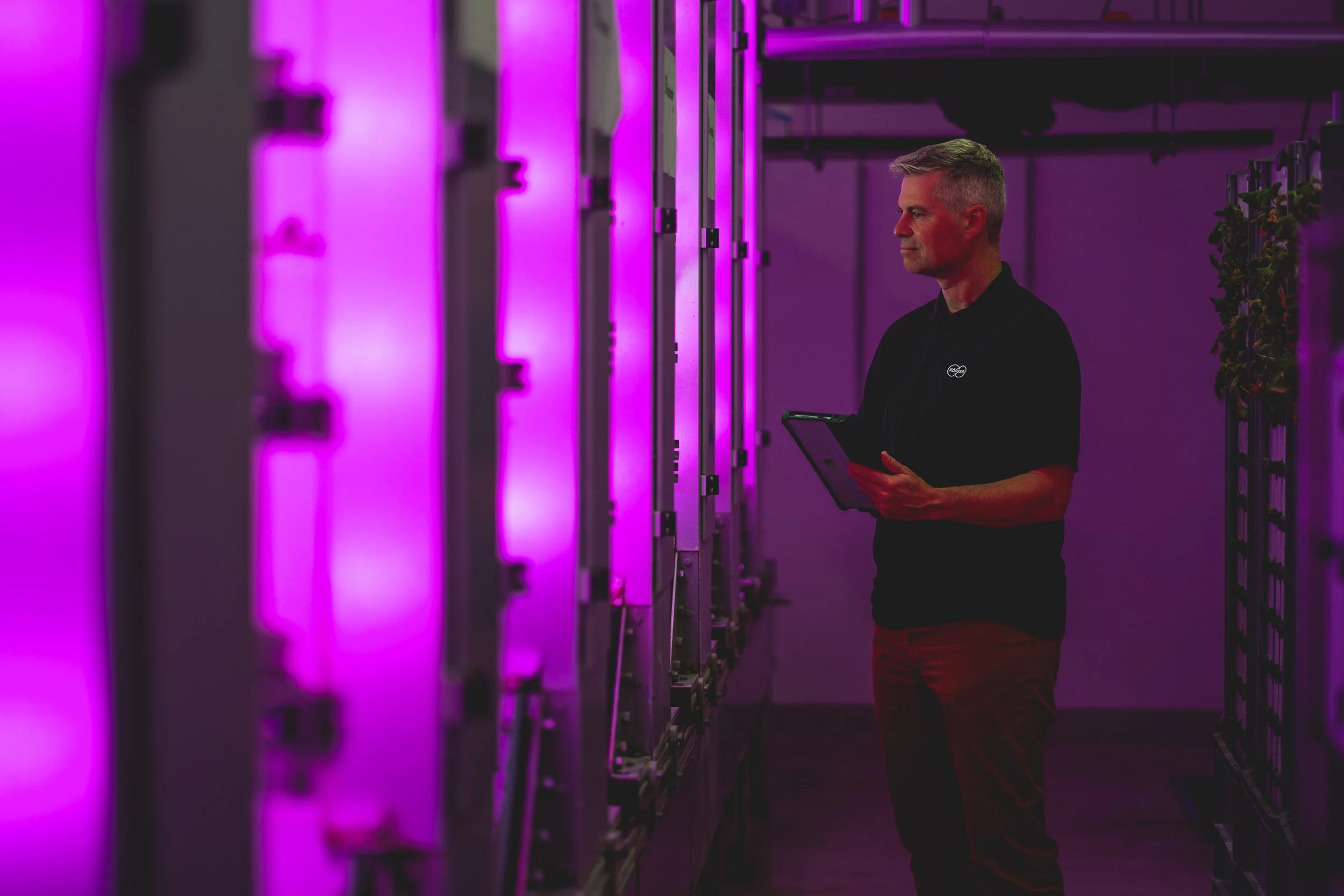 KÖRBER | VERTICAL FARMING | Anlagenfotografie