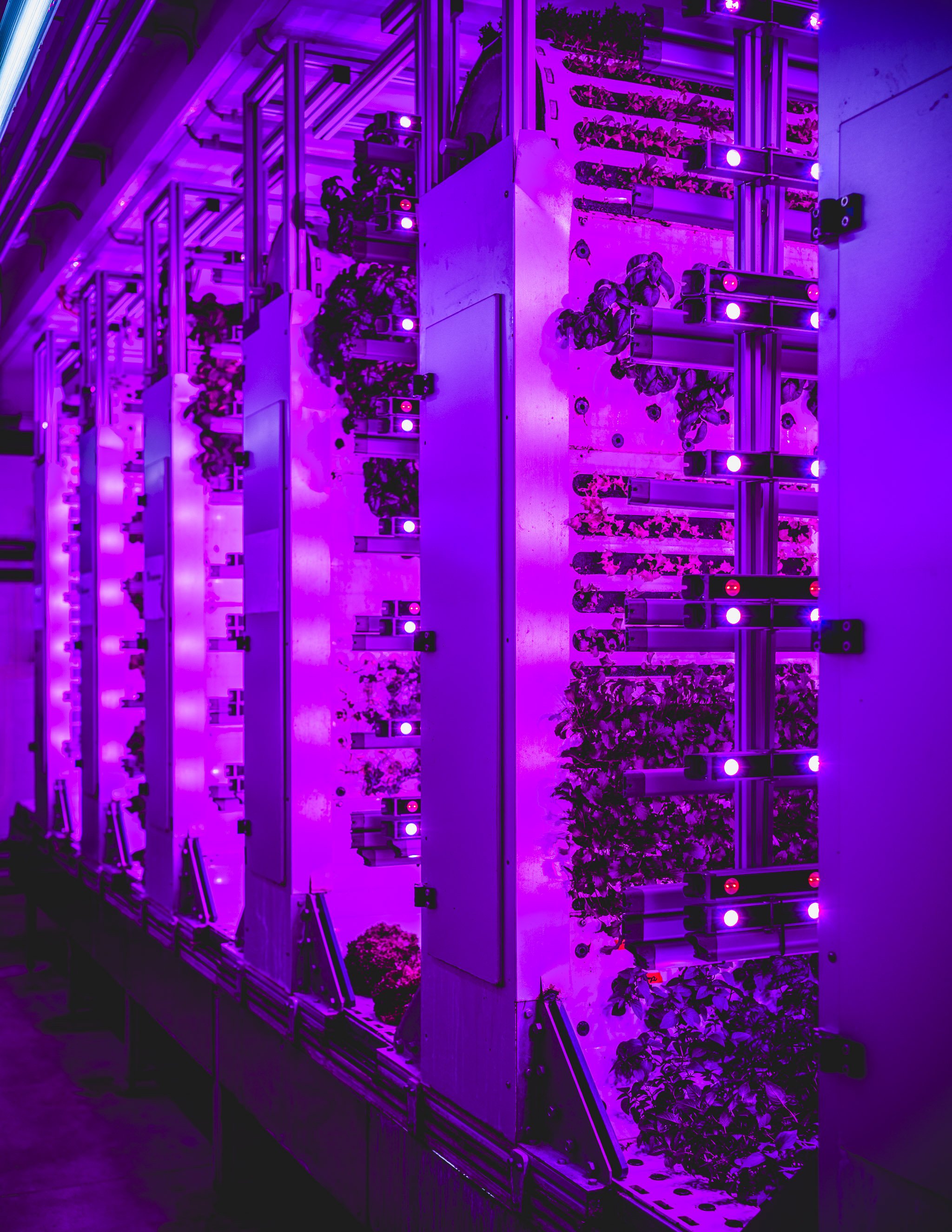 HALBSCHARF FOTOGRAFIE_Björn Richardt_Unternehmensfotografie_Körber-1.jpg