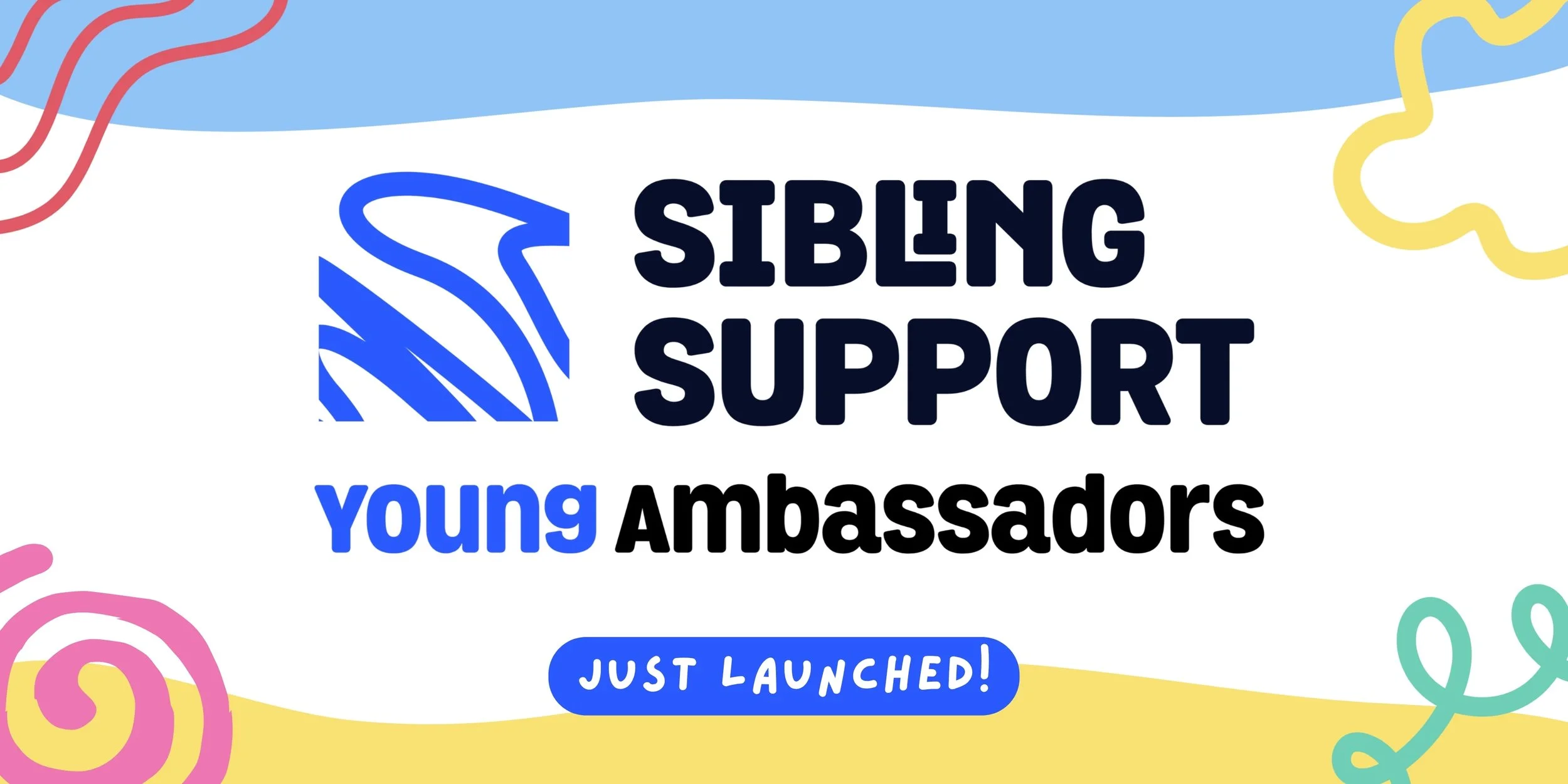 The launch of our Young Ambassadors Forum