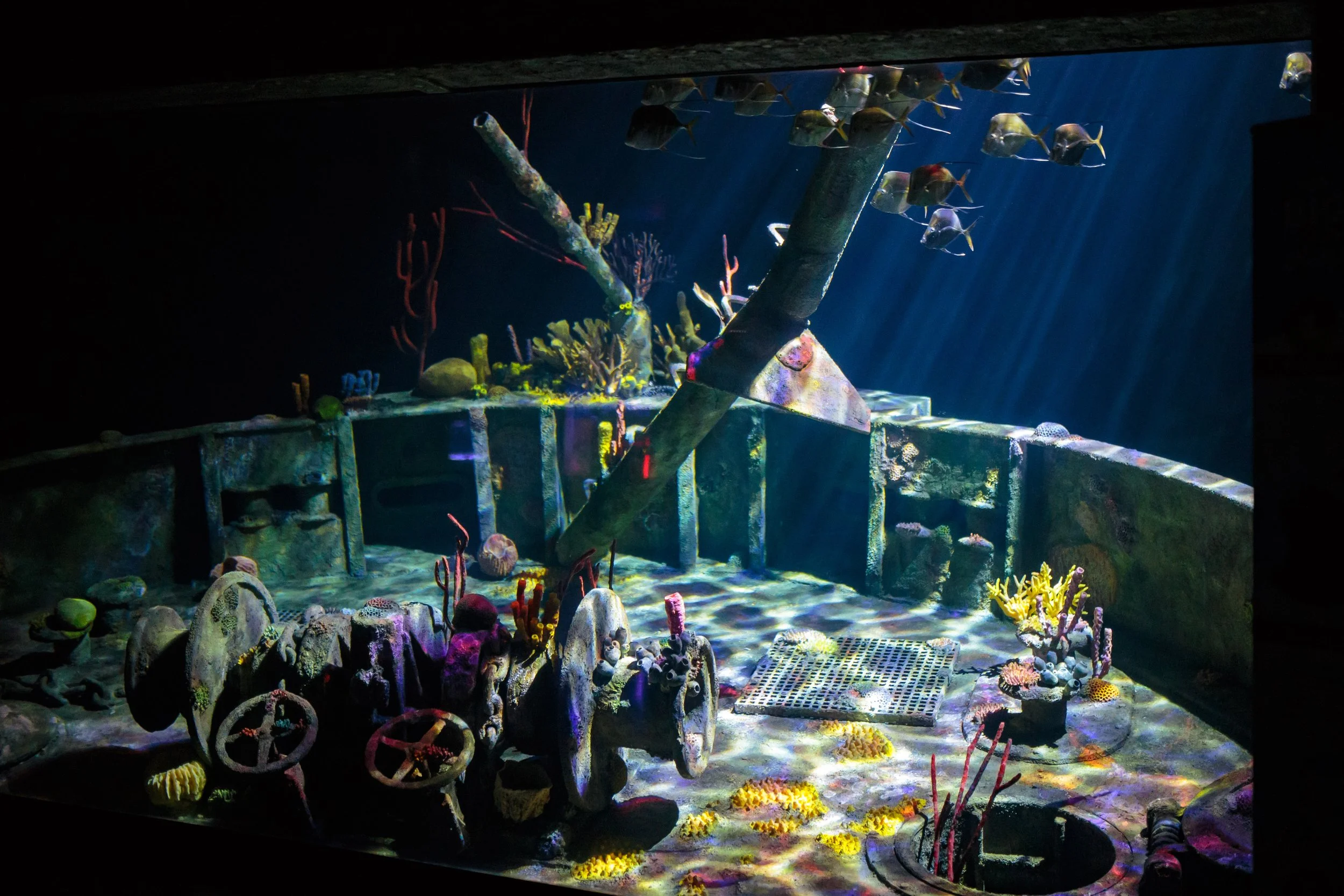 USS Kittiwake Shipwreck