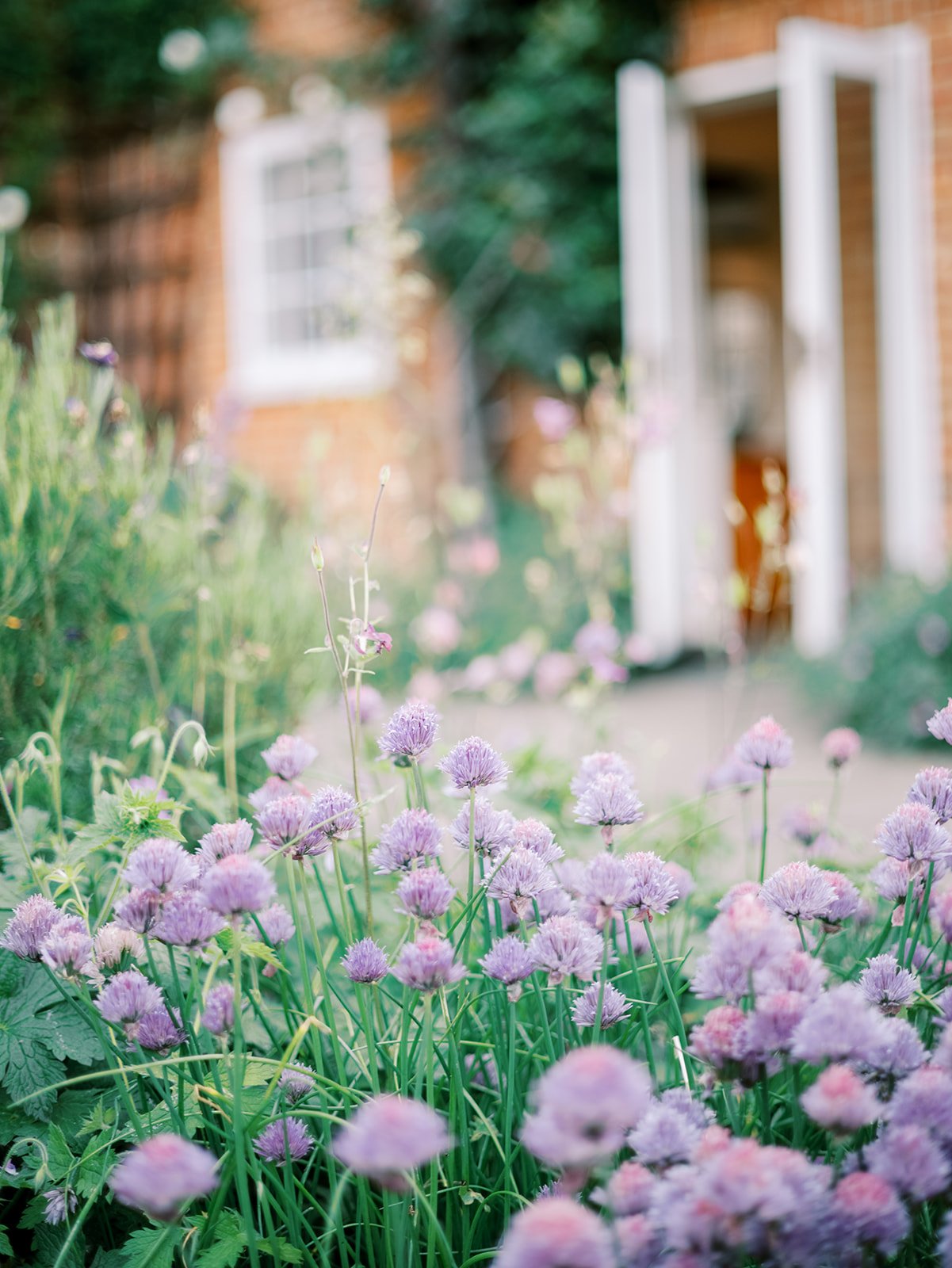 Copy of Kernwell Photography - Newbarn Farm - 513.jpg
