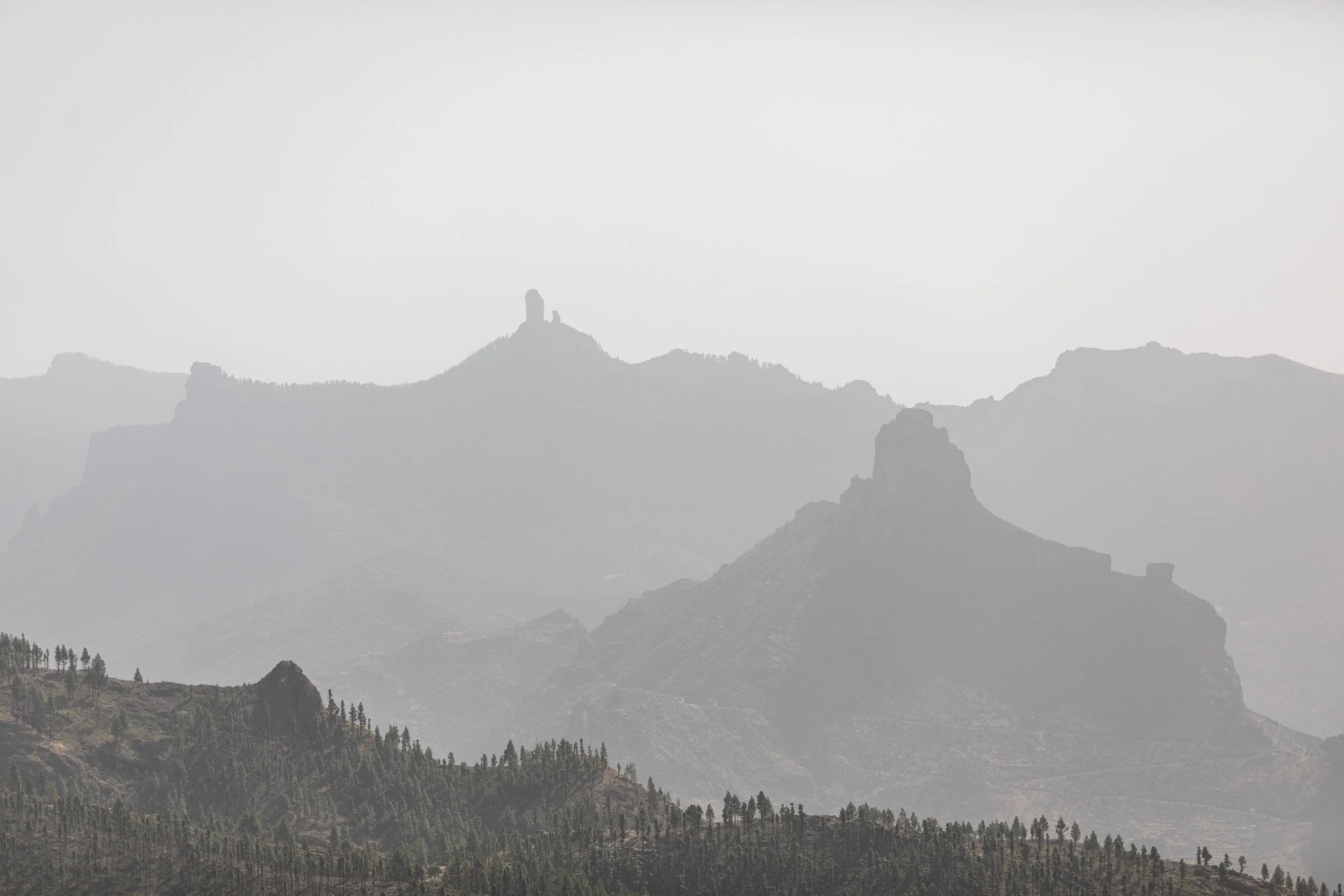 5D9A7345.jpg