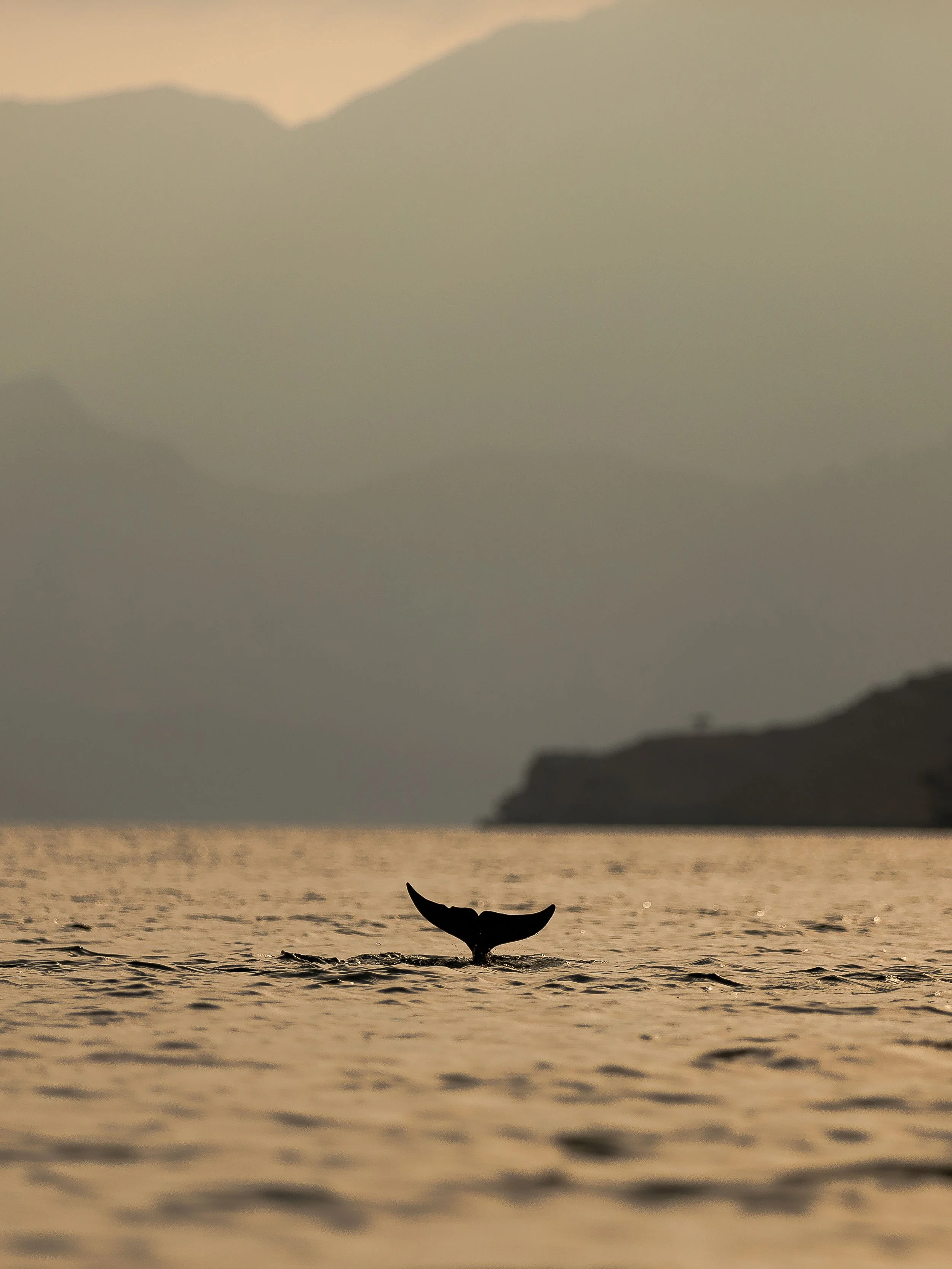 5D9A7525.jpg