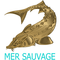 Mer Sauvage