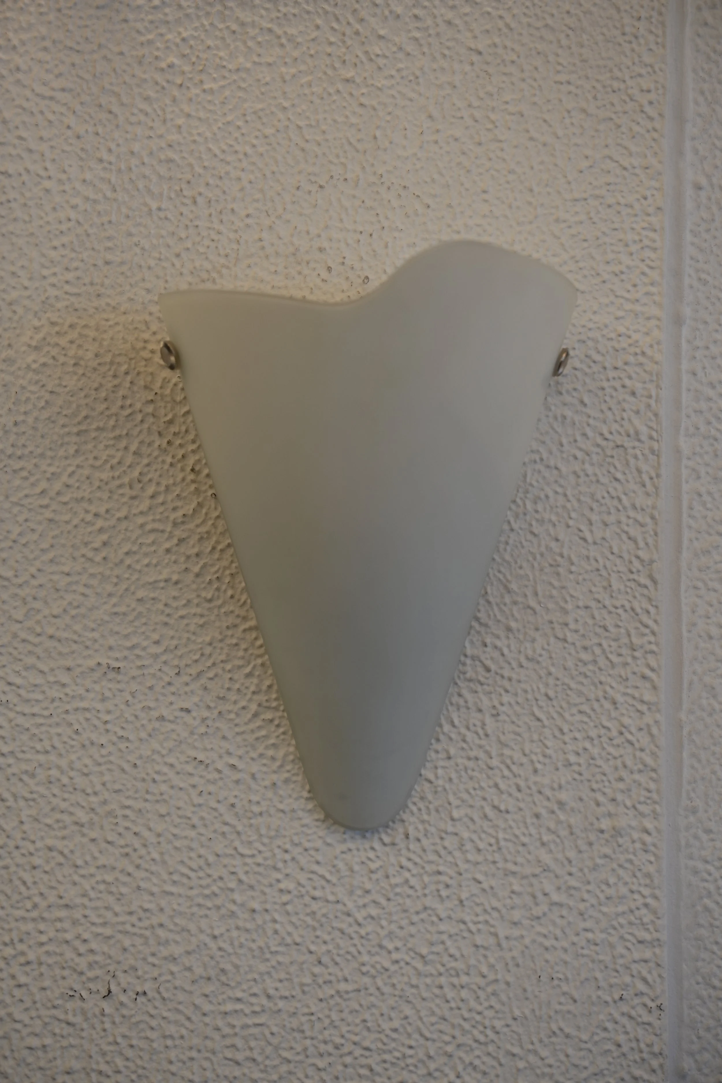 DSC00705 (1).JPG