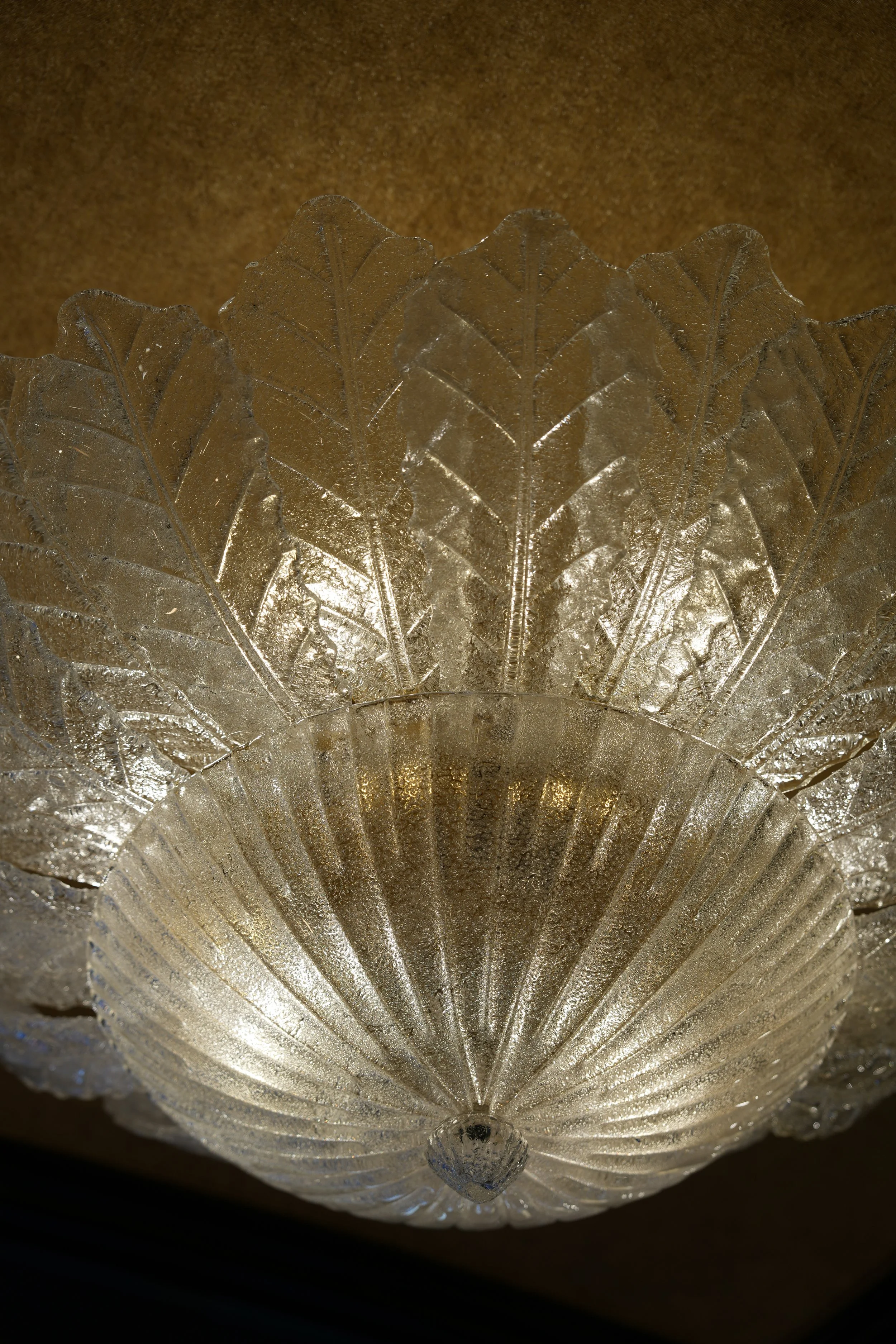 DSC00336.JPG