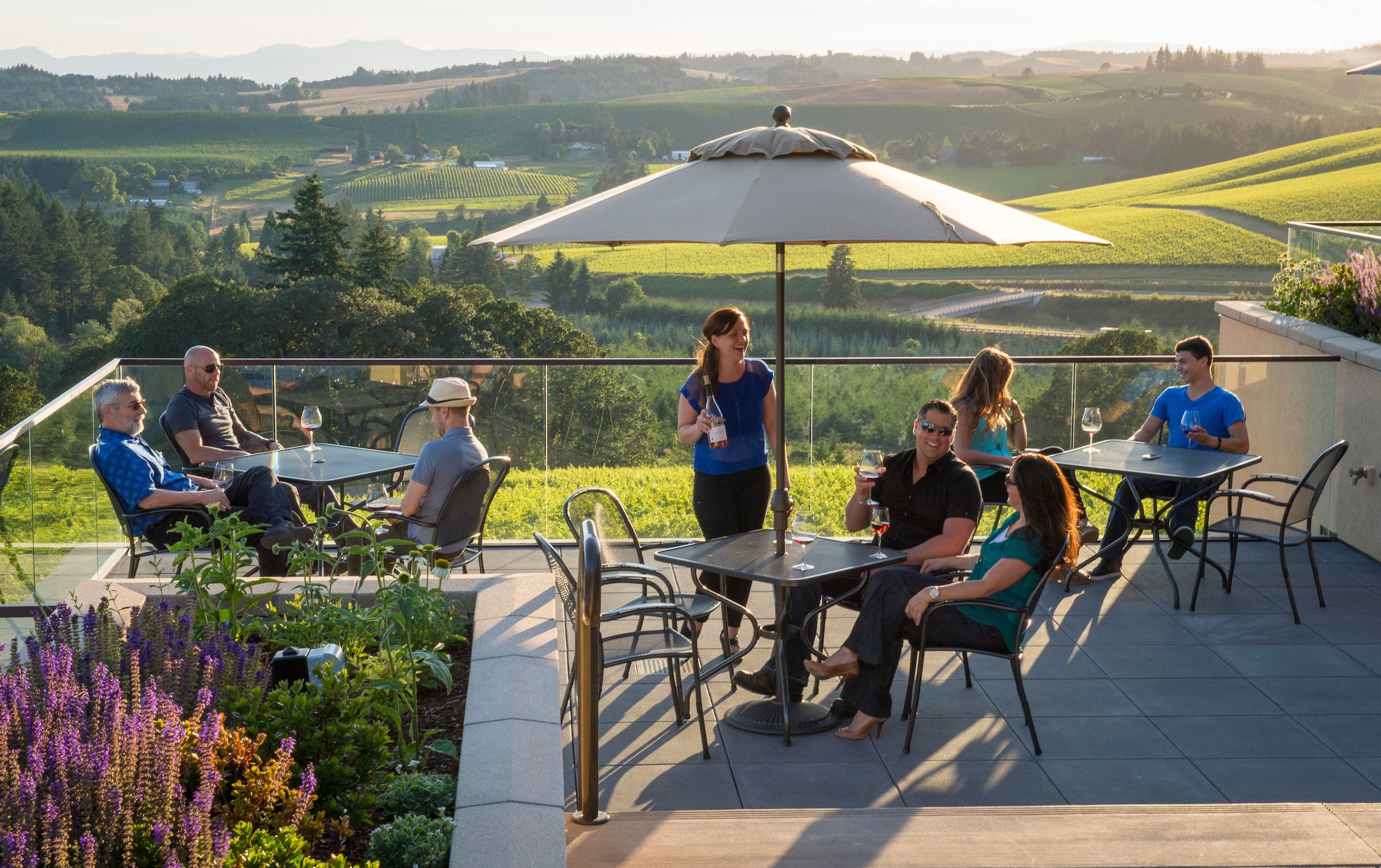 Willamette Valley Vineyards_20140702_513-Edit.jpg