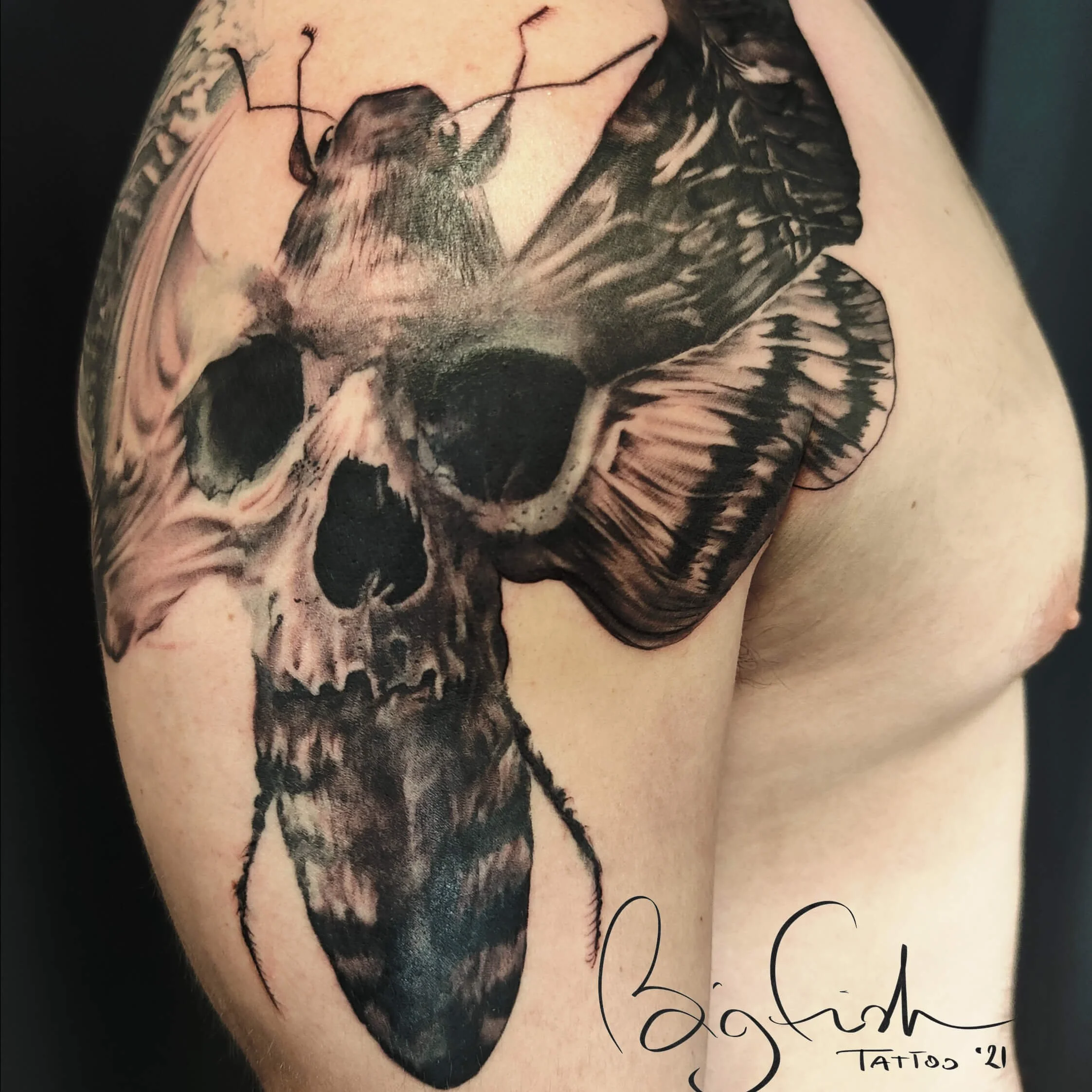 tattoo-skull-moth-realism-blackandgrey-artist-new-zealand-tauranga.jpg.jpg