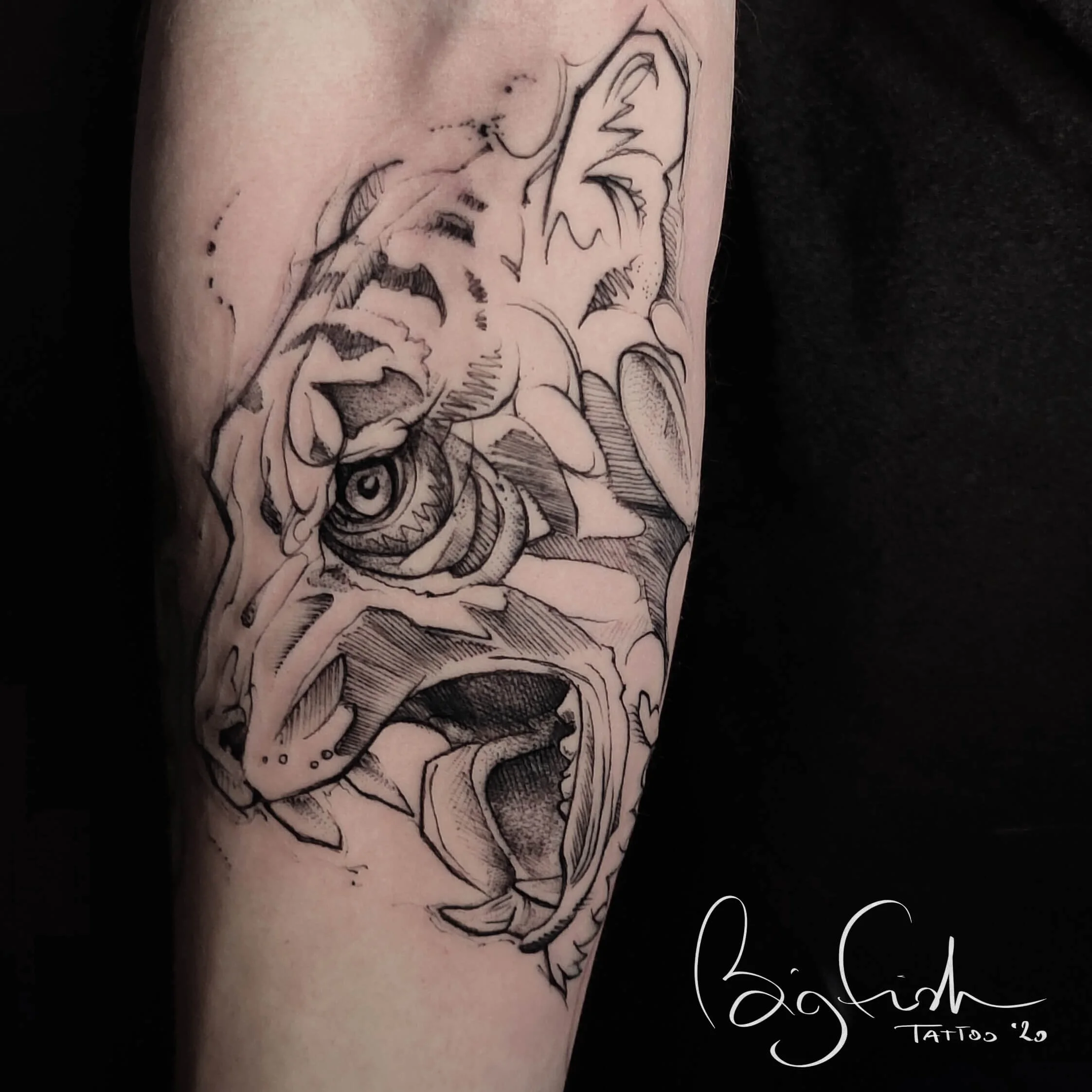 tattoo-tiger-stylised-sketchy-tauranga.jpg.JPG